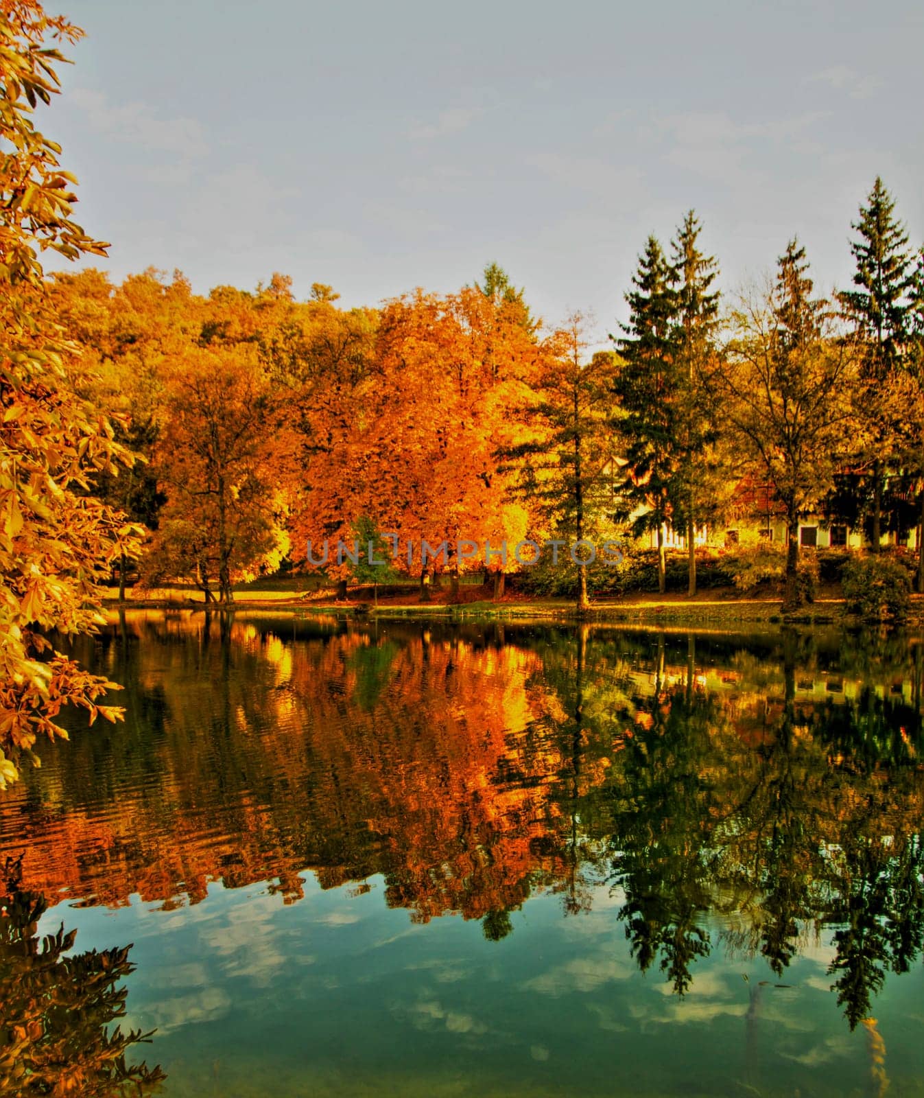 Beautiful colors of autumn landscape by the lake