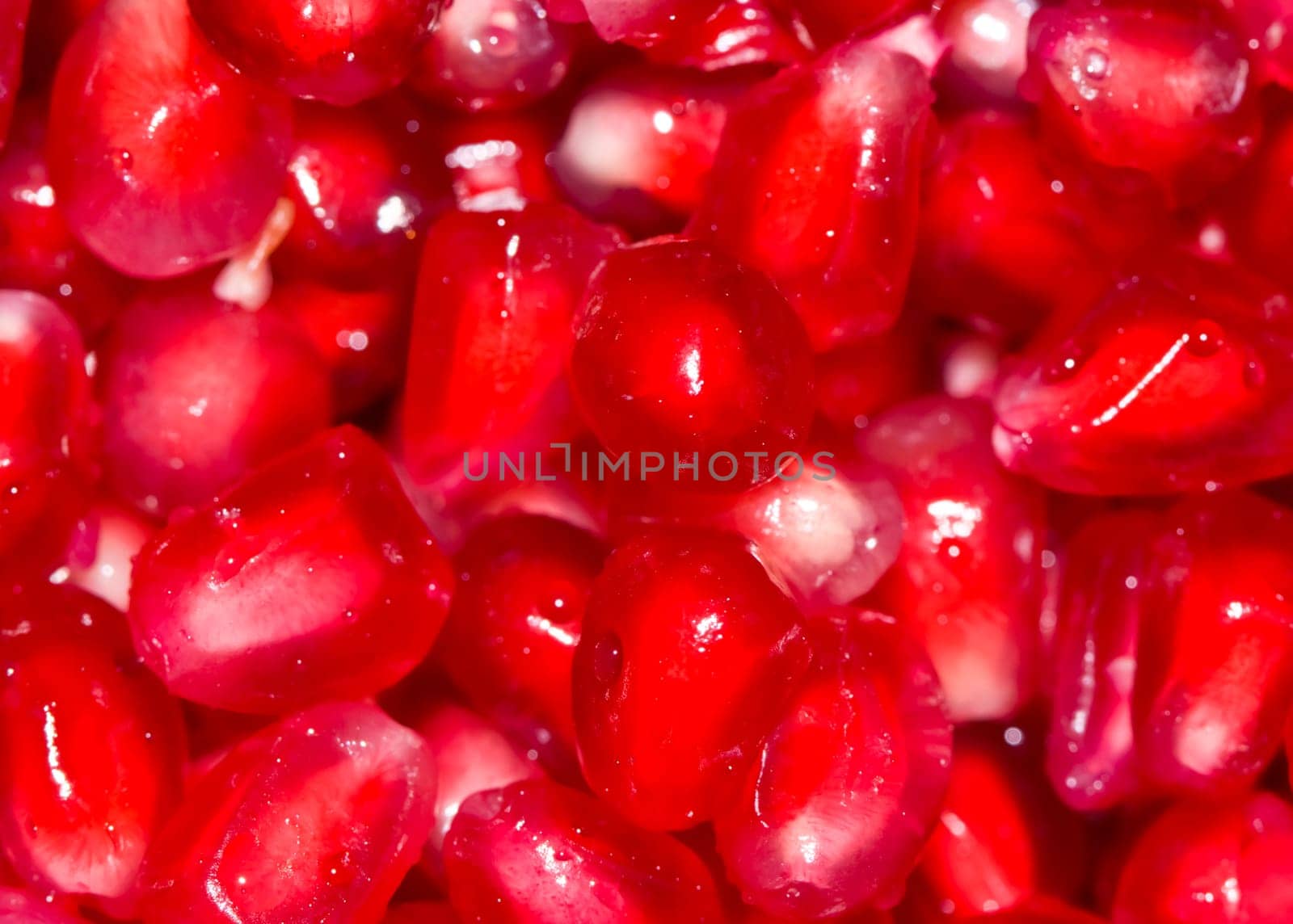 Pomegranate seeds background - macro view