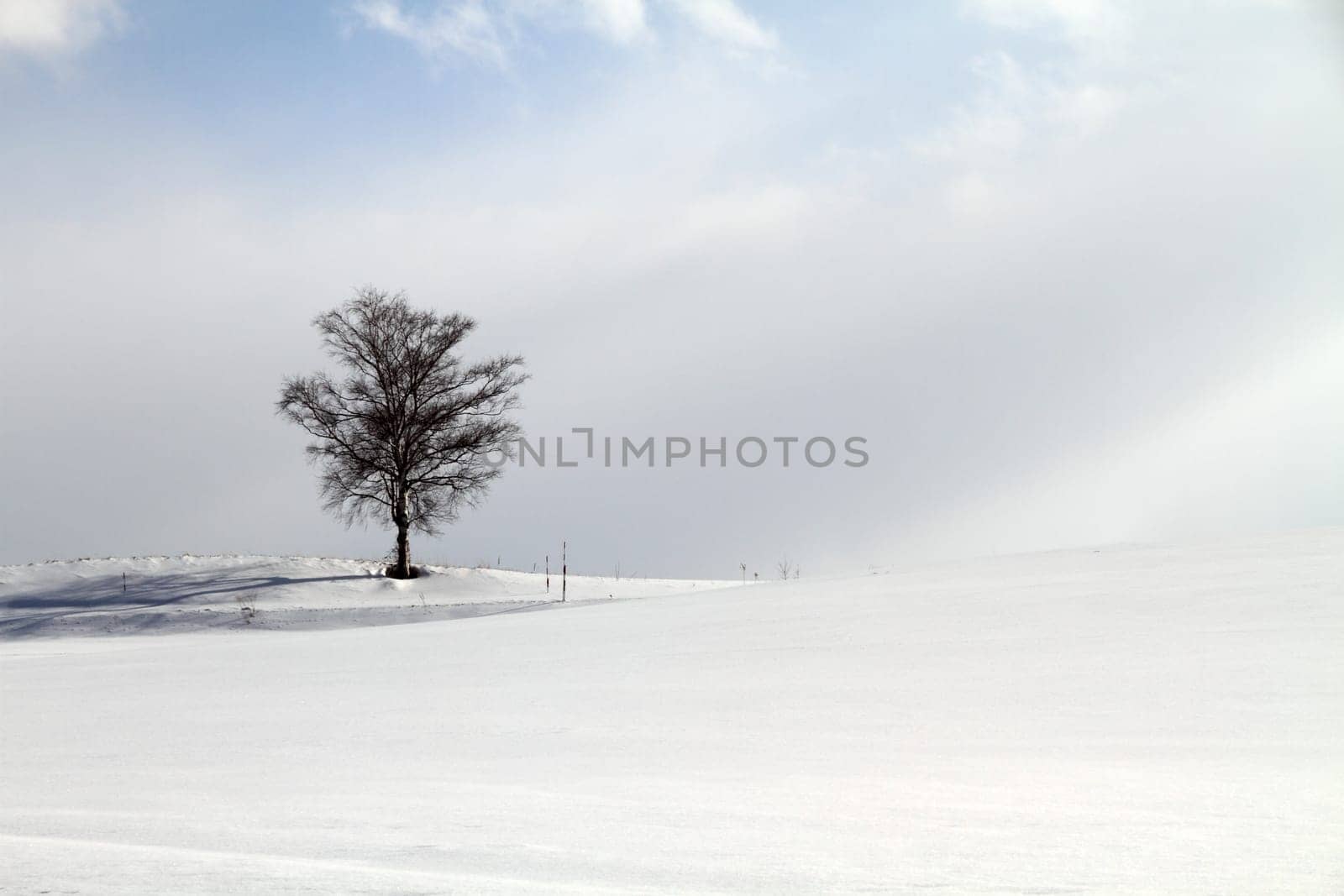 Winter snow field