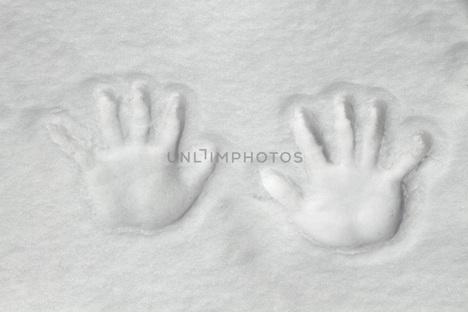 Two hand print in snow