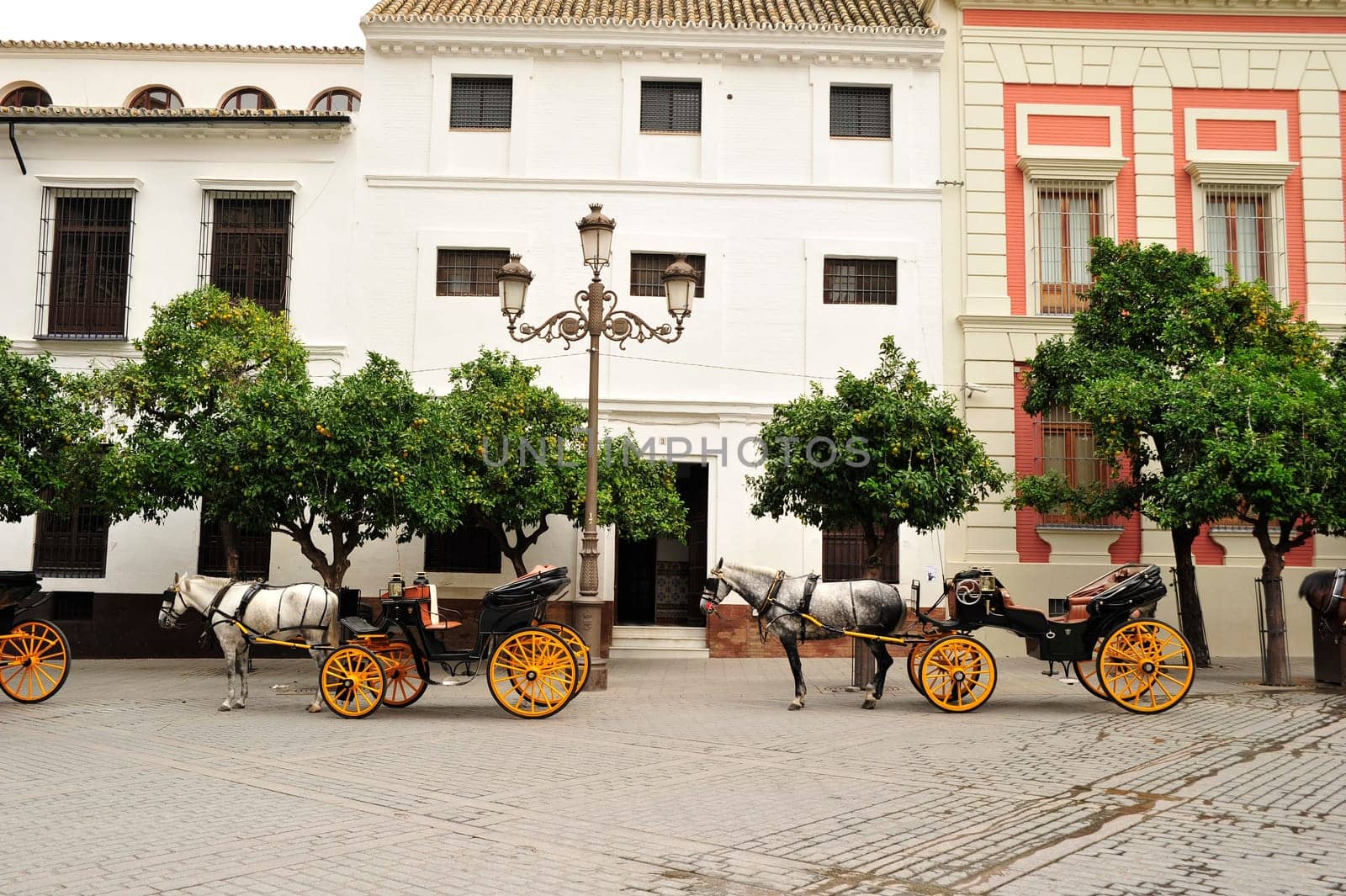 Top Seville Horse-drawn Carriages