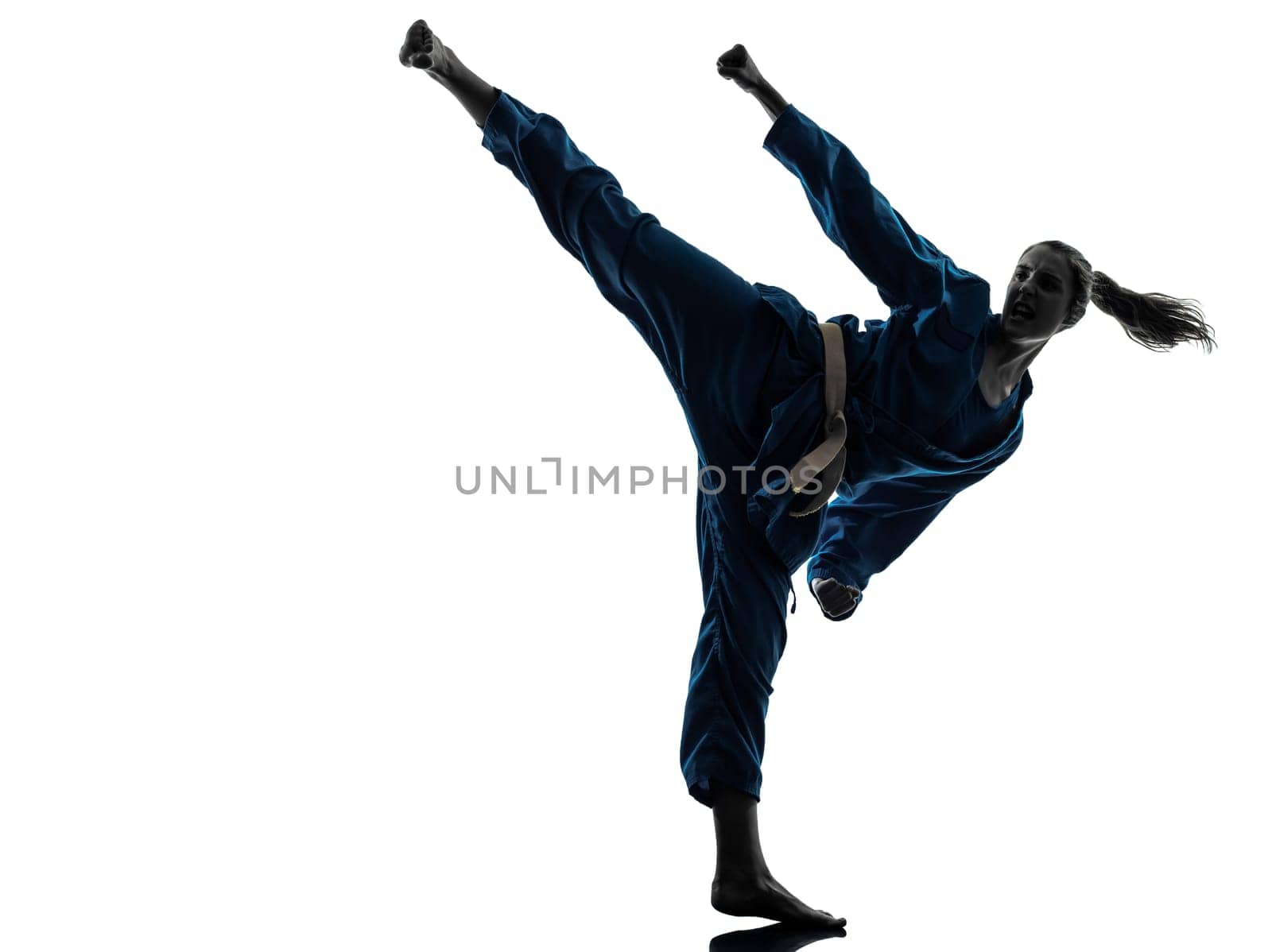 one caucasian woman exercising karate vietvodao martial arts in silhouette studio isolated on white background