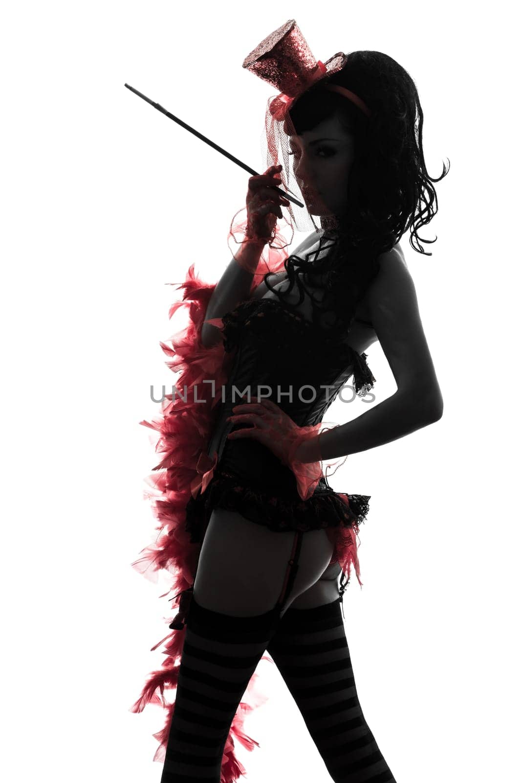 one caucasian woman stripper showgirl portrait  in silhouette studio isolated on white background