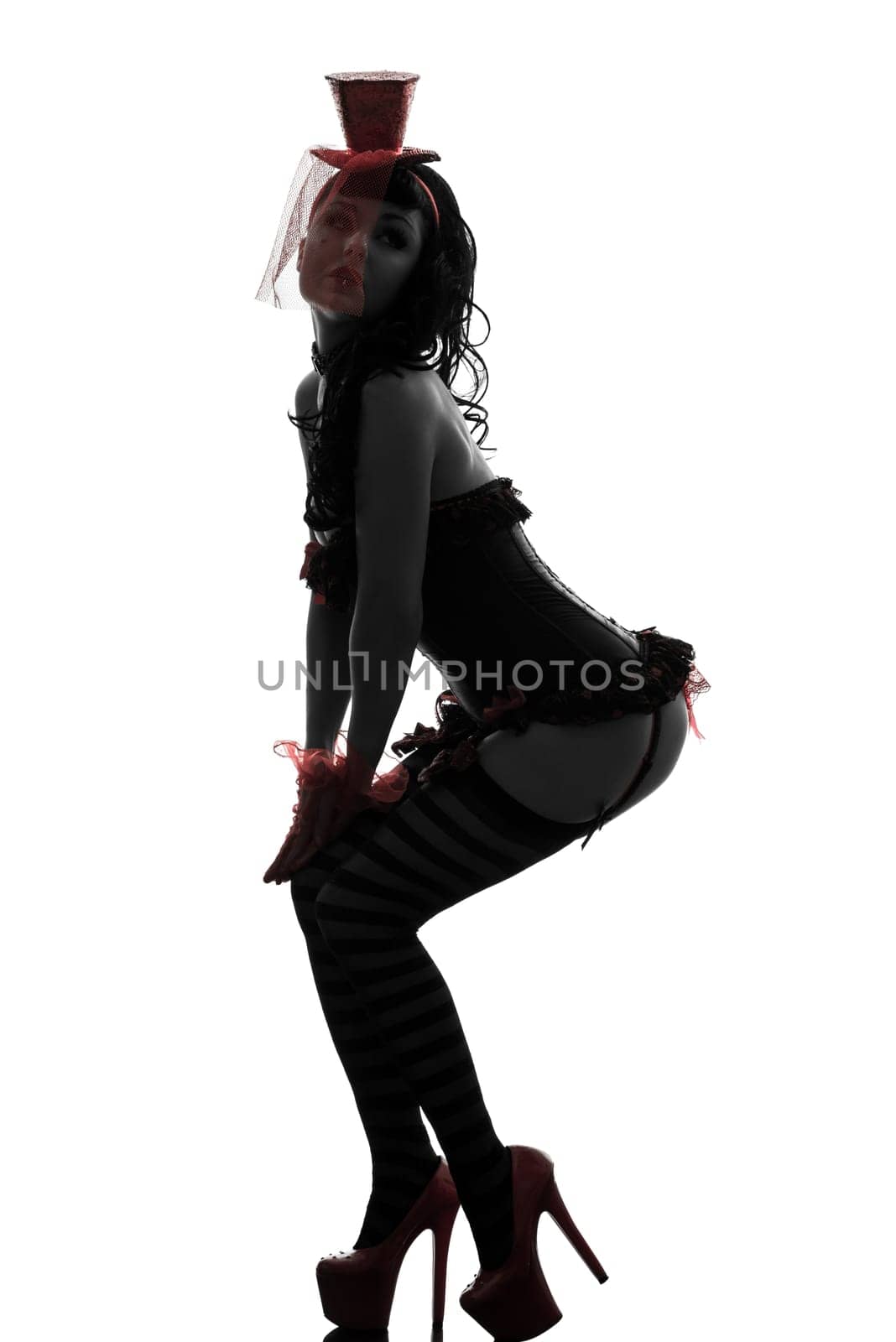 one caucasian woman stripper showgirl portrait  in silhouette studio isolated on white background