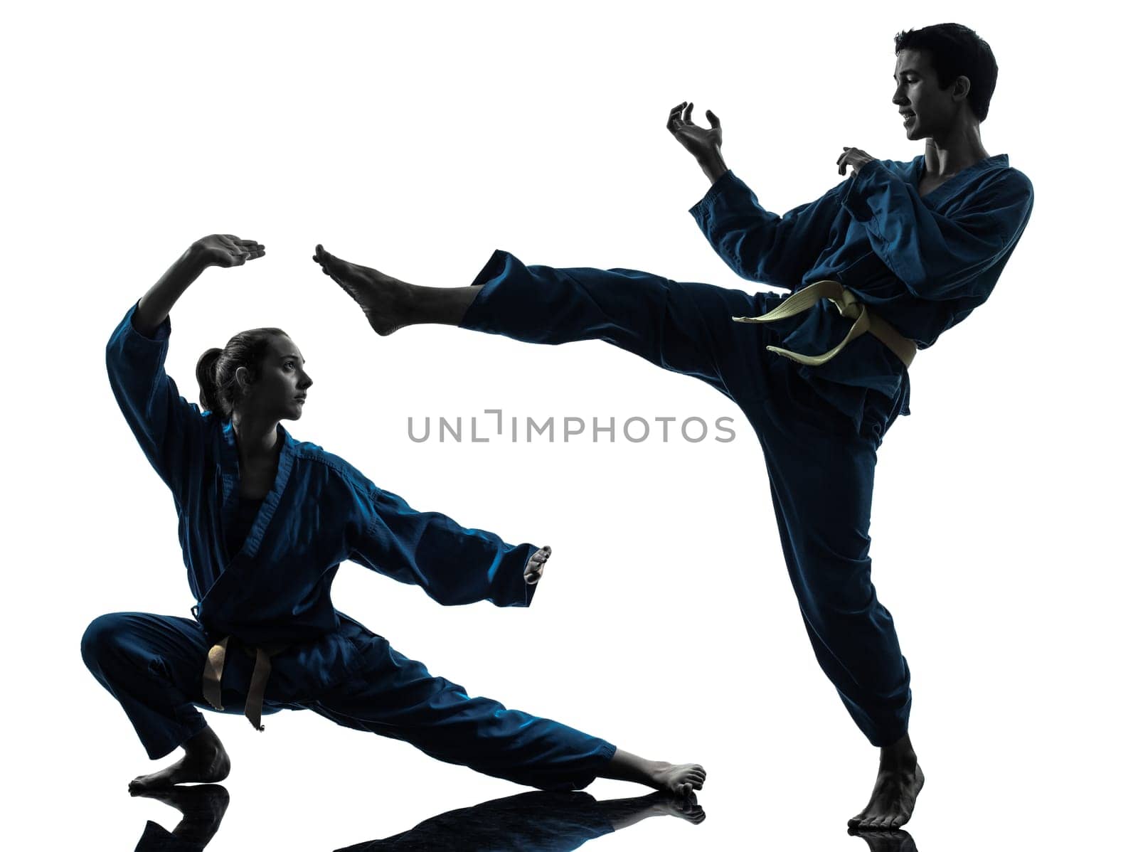 one  man woman couple exercising karate vietvodao martial arts in silhouette studio isolated on white background