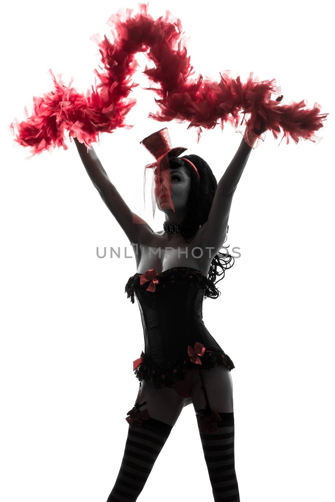 one caucasian woman stripper showgirl portrait  in silhouette studio isolated on white background
