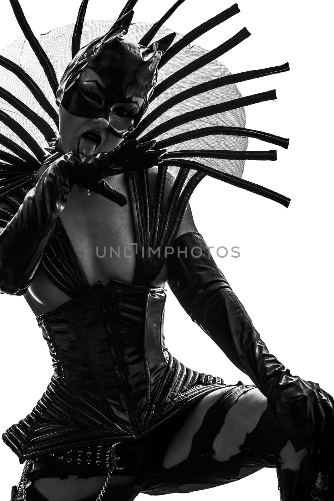 one caucasian woman in catwoman leather latex  in silhouette studio isolated on white background