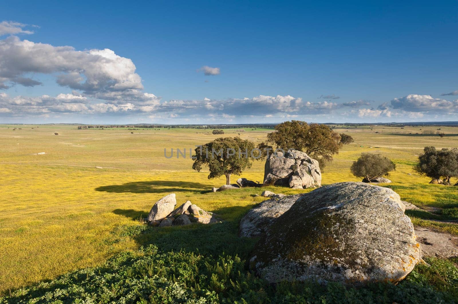 Vast plains of the Alentejo country in spring, Portugal