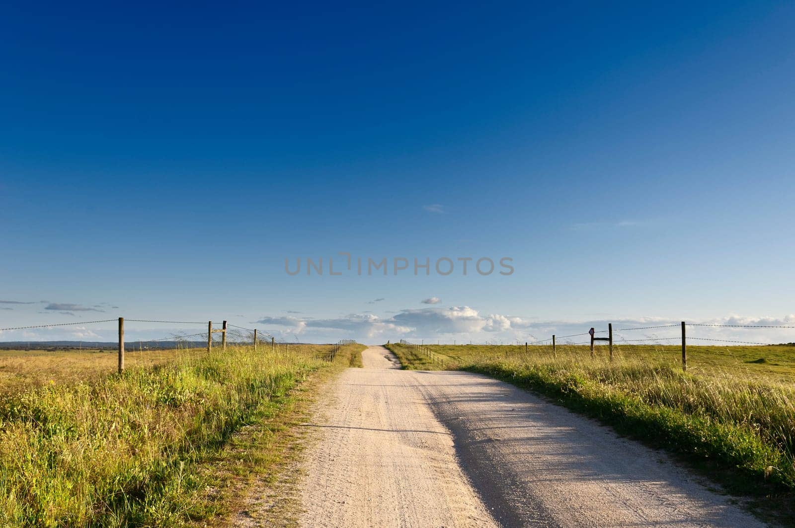Deserted dirt road in the plain of Alentejo, Portugal