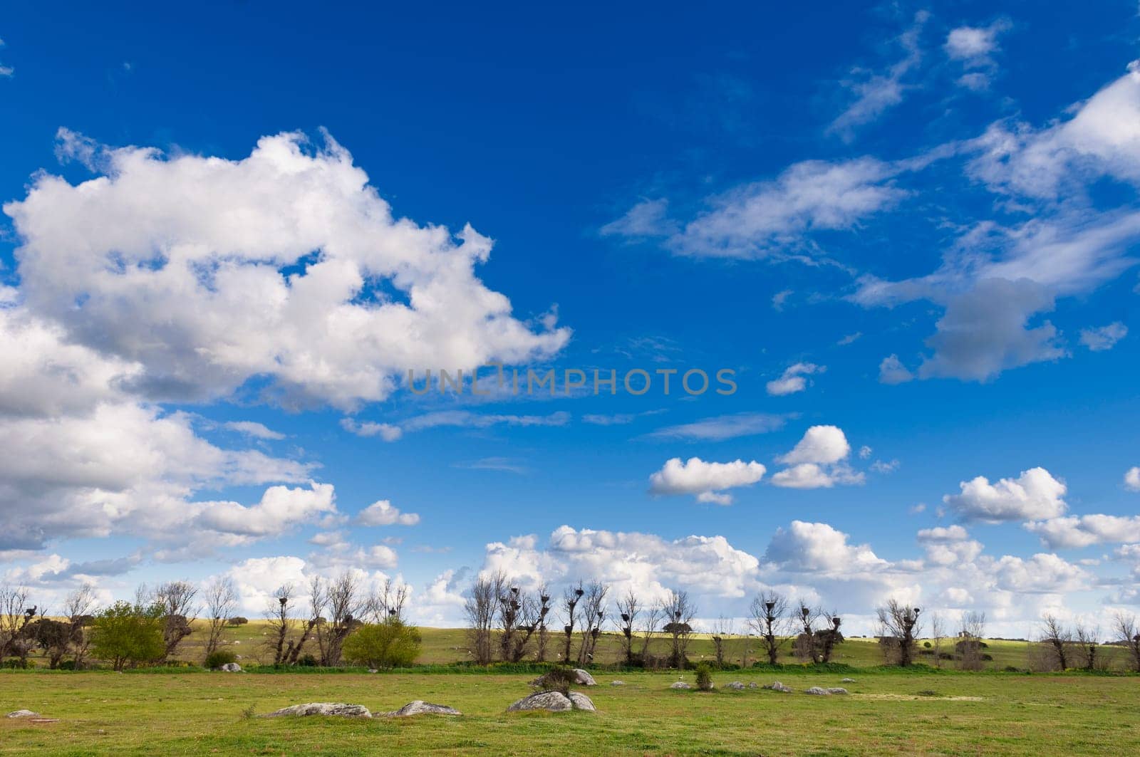 Vast plains of the Alentejo country in spring, Portugal