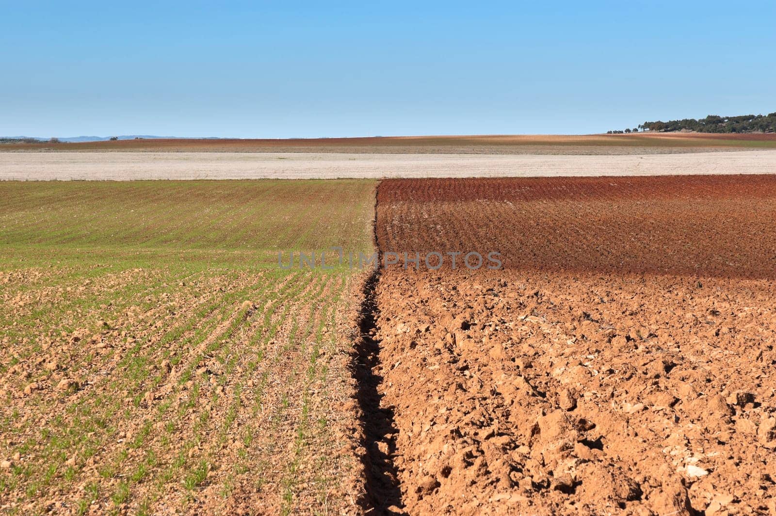 Ploughed fields in the vast plain of Alentejo, Portugal