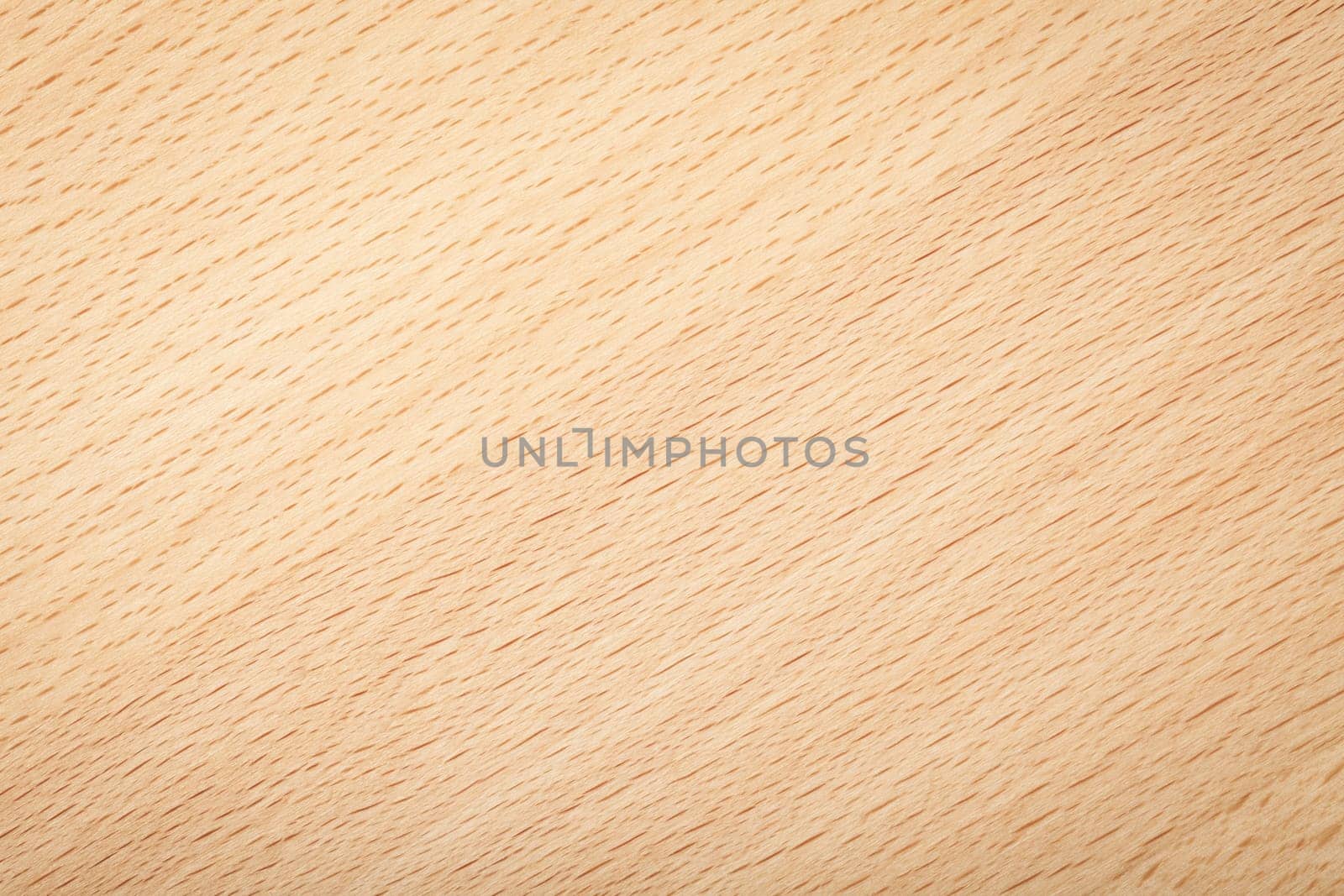 Beech wood texture for background. Natural plank macro shot