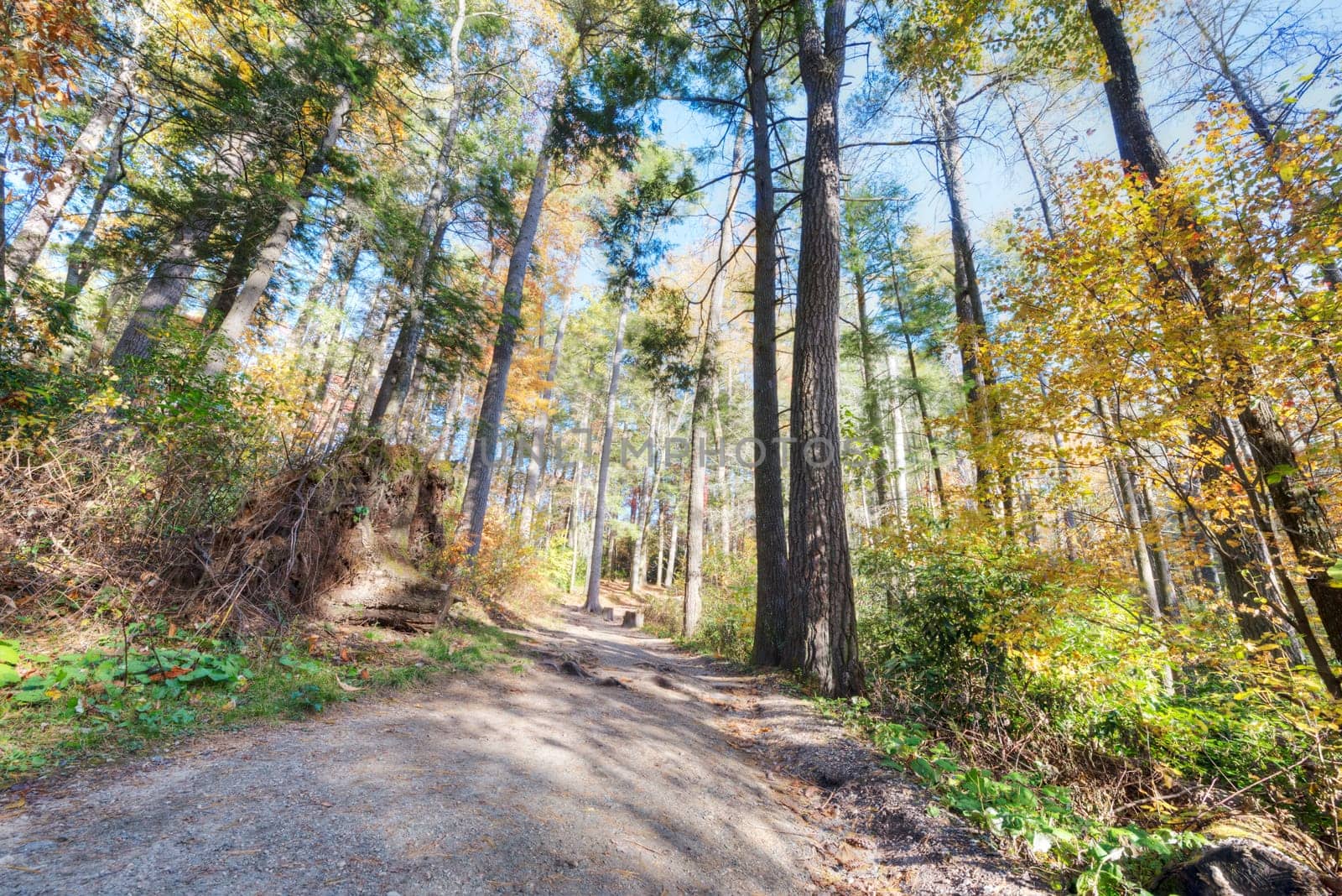 Fall in North Carolina