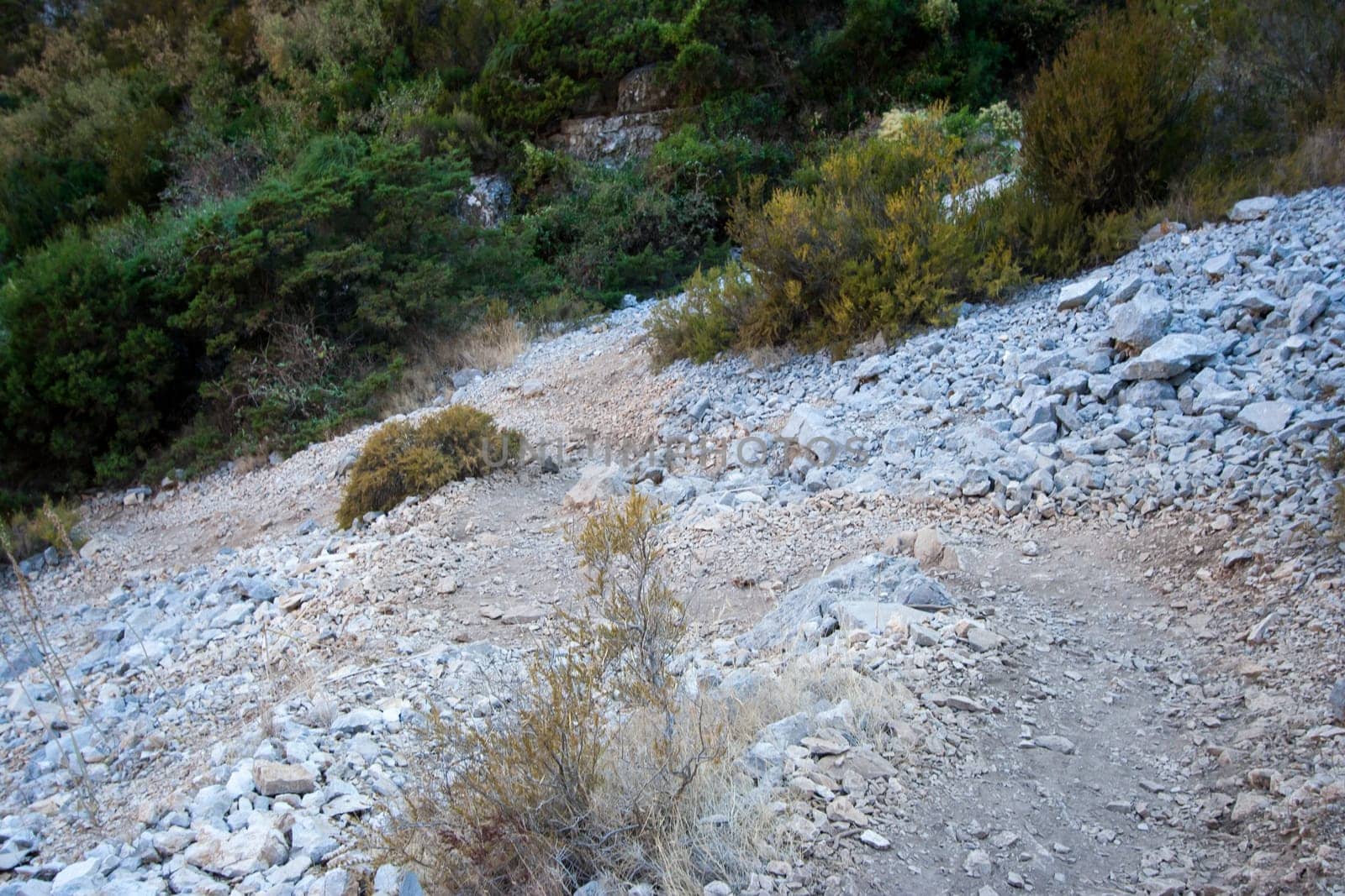 rocky scrubby landscape from vis island (croatia)