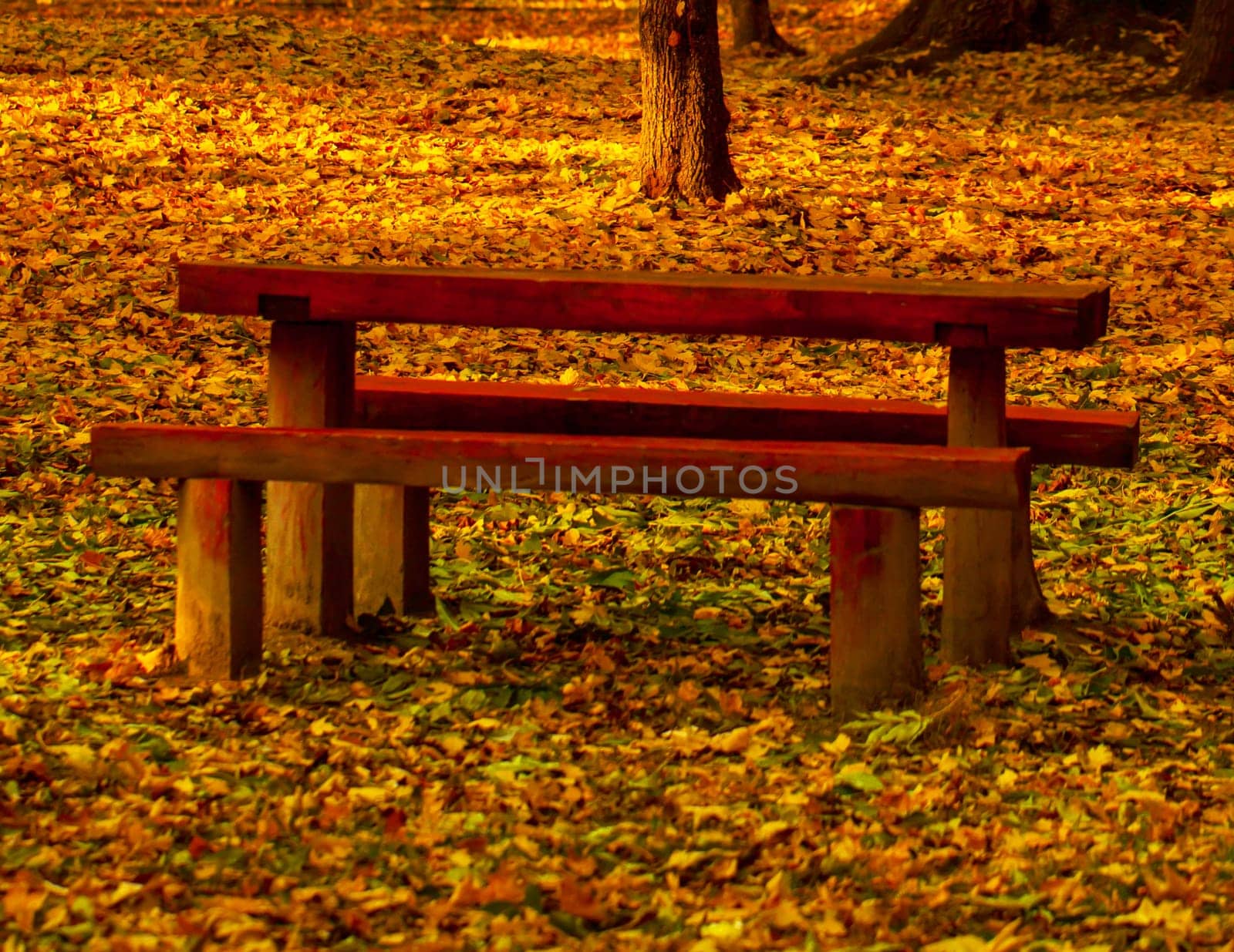 Beautiful colors of autumn landscape with bench