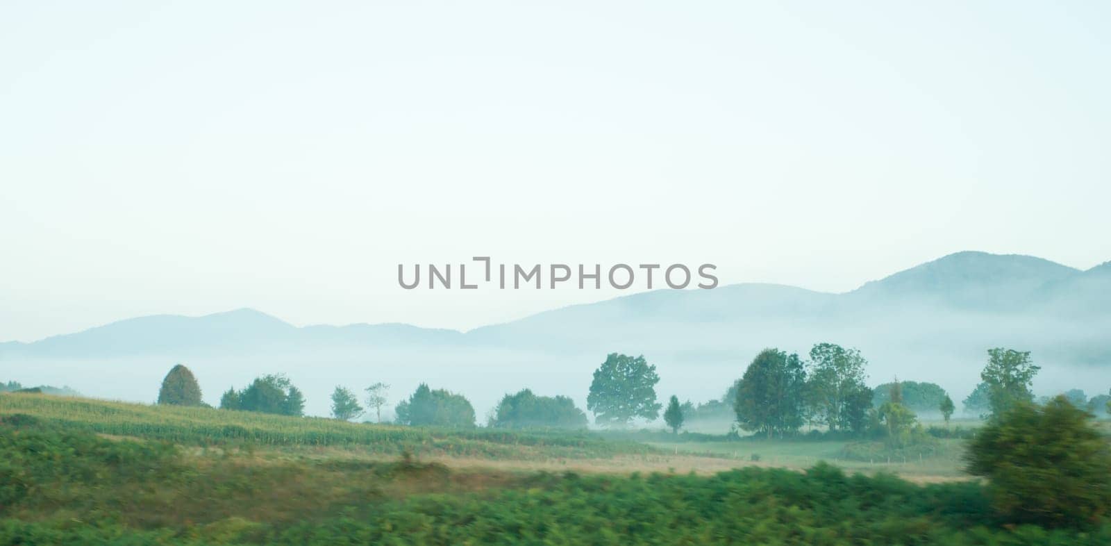 foggy landscape with mountain