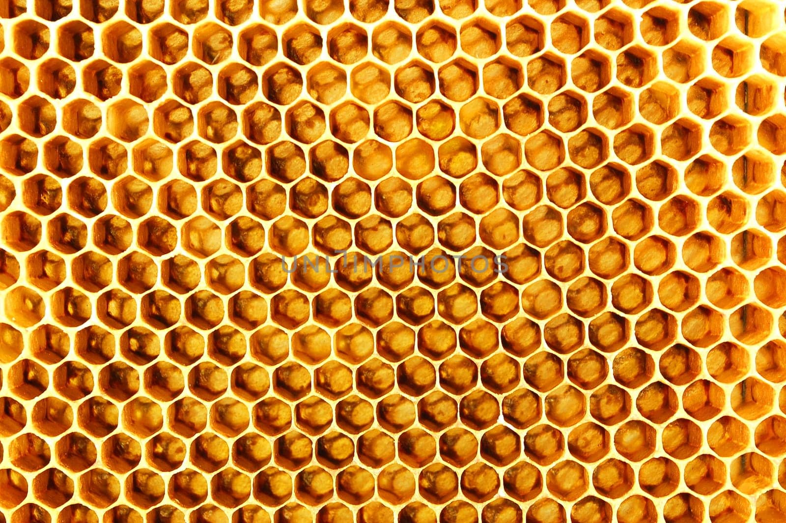 Honeycomb