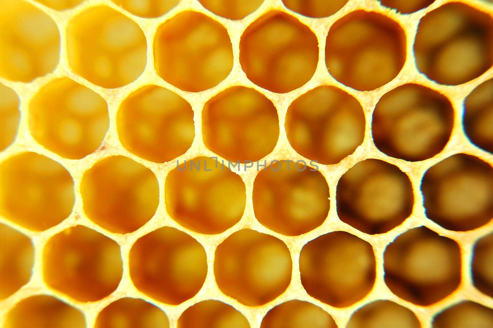 Honeycomb
