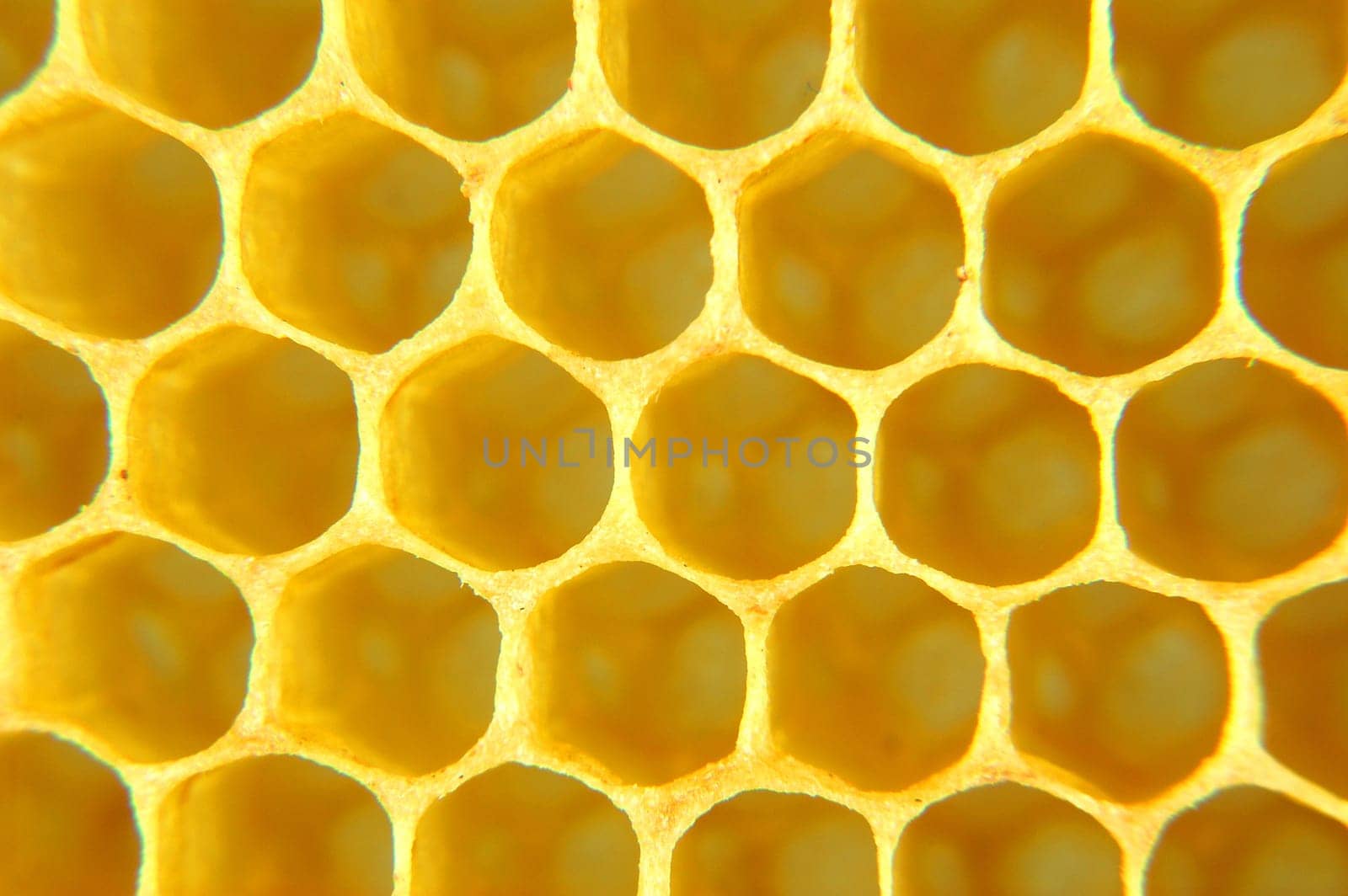 Honeycomb