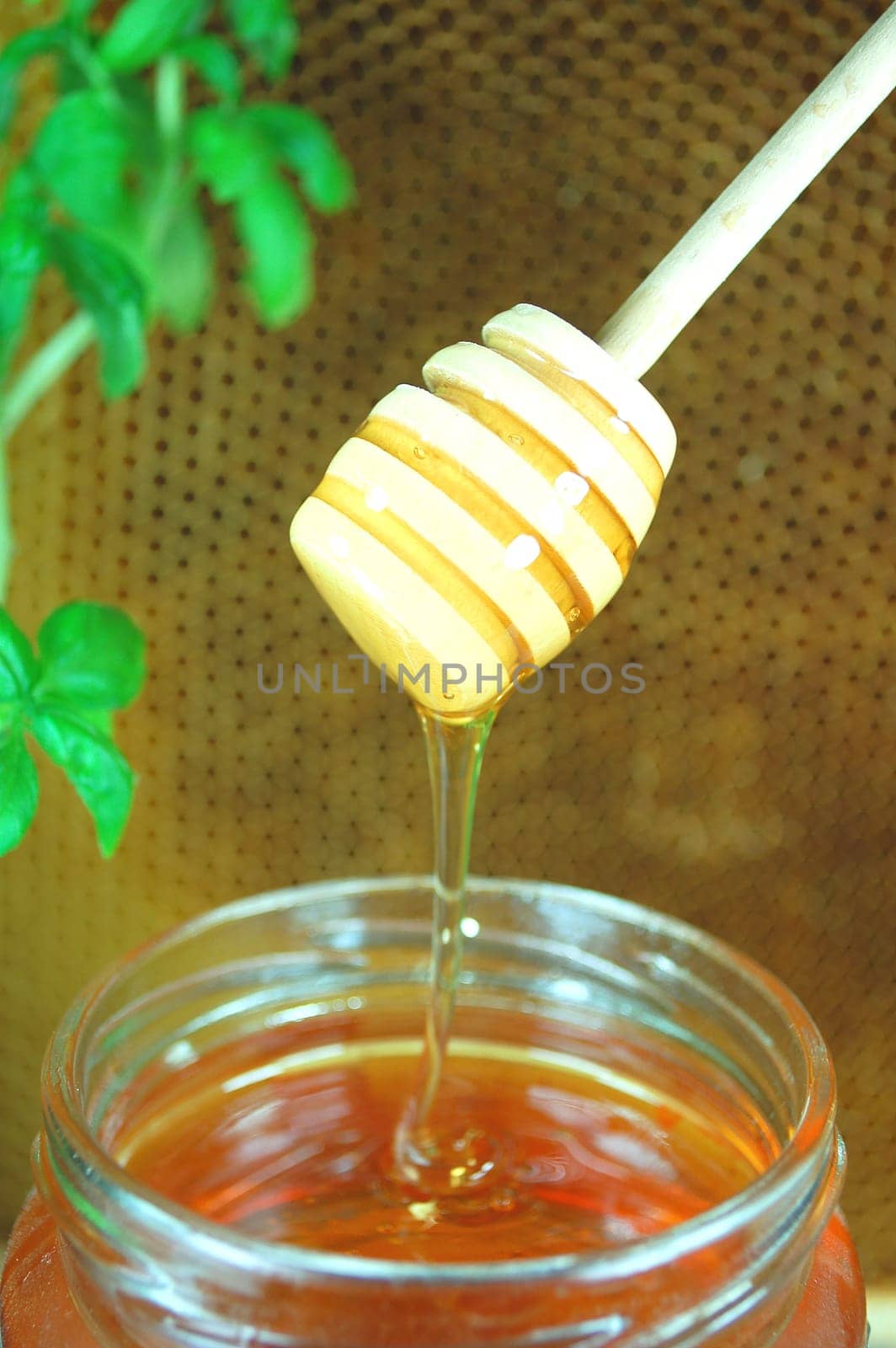 Honey dripping from a wooden honey dipper on honeycomb background
