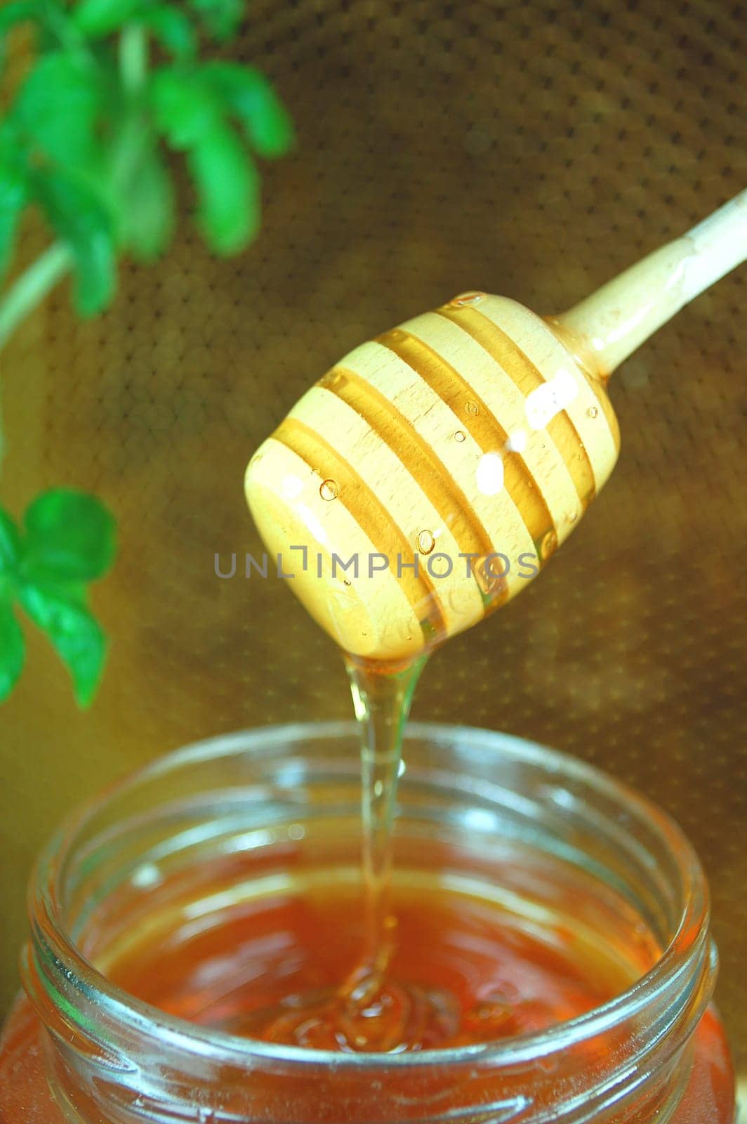 Honey dripping from a wooden honey dipper on honeycomb background
