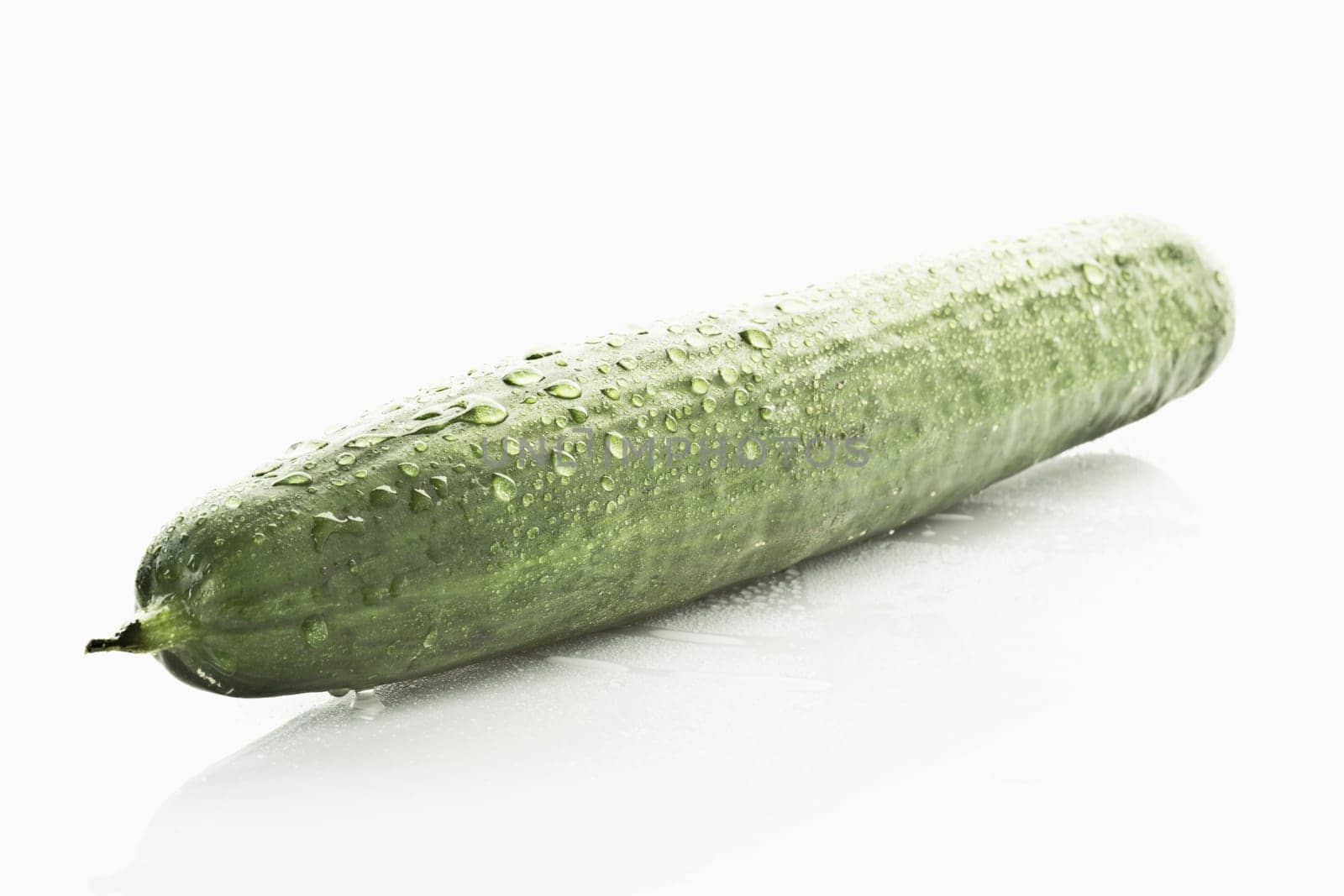 Cucumber