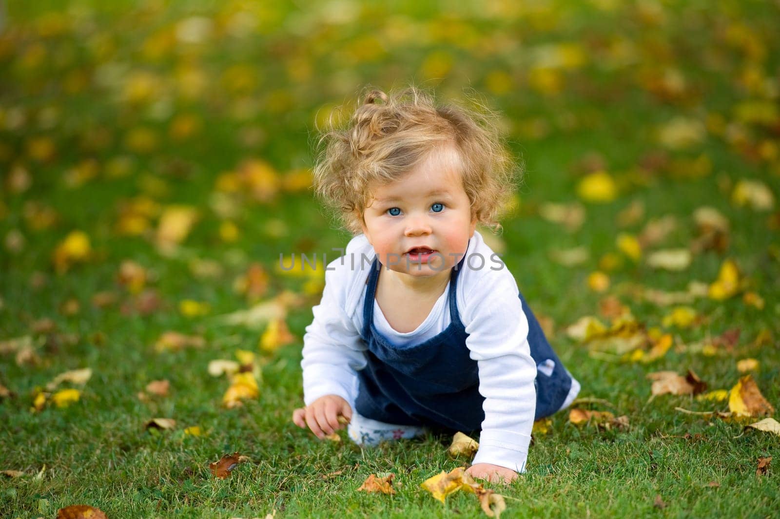 baby is crawling in the fall-meadow