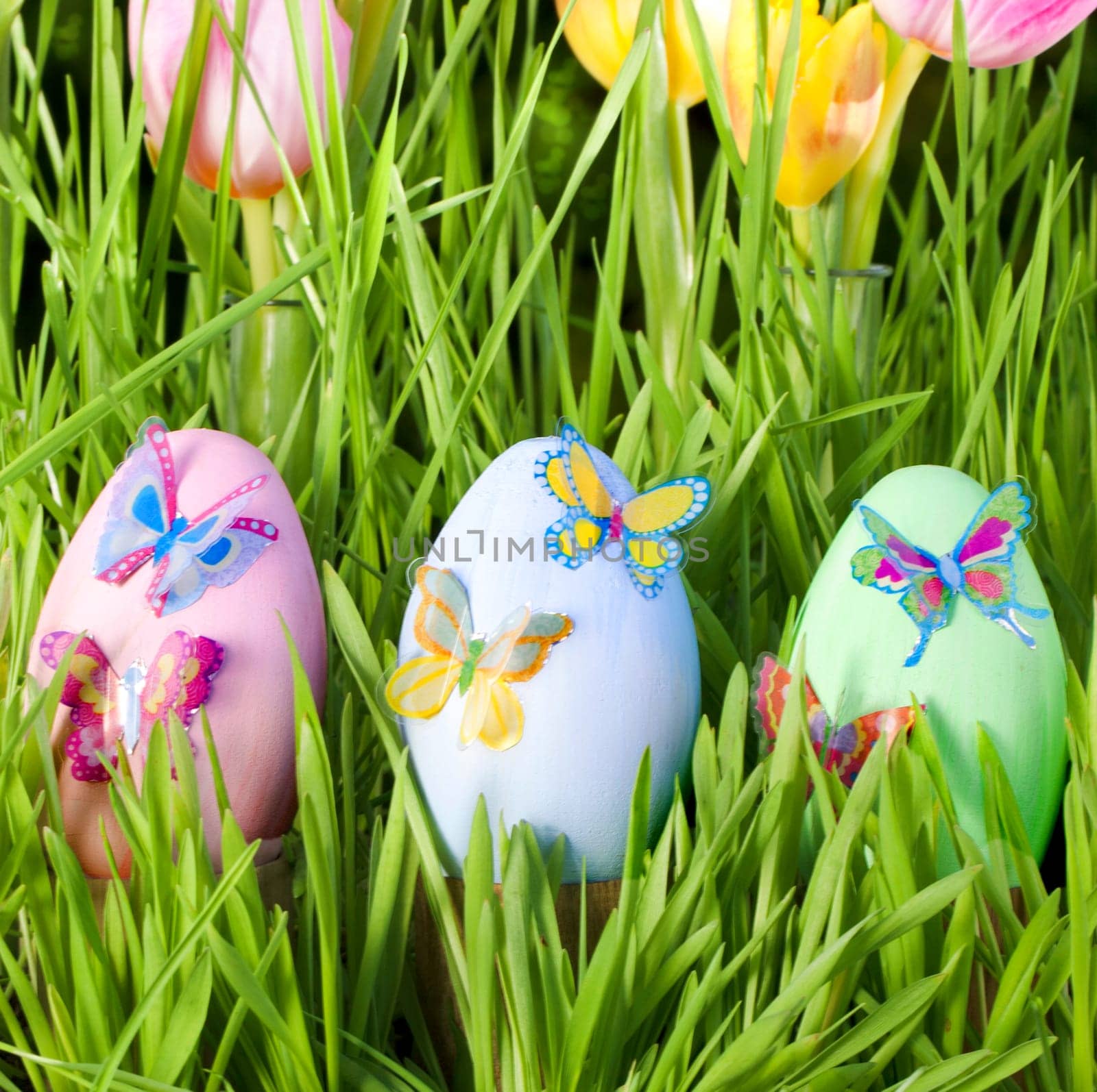 Easter eggs in the grass