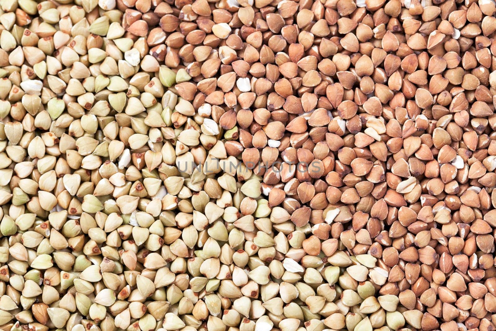 Untoasted and toasted buckwheat or kasha as a background