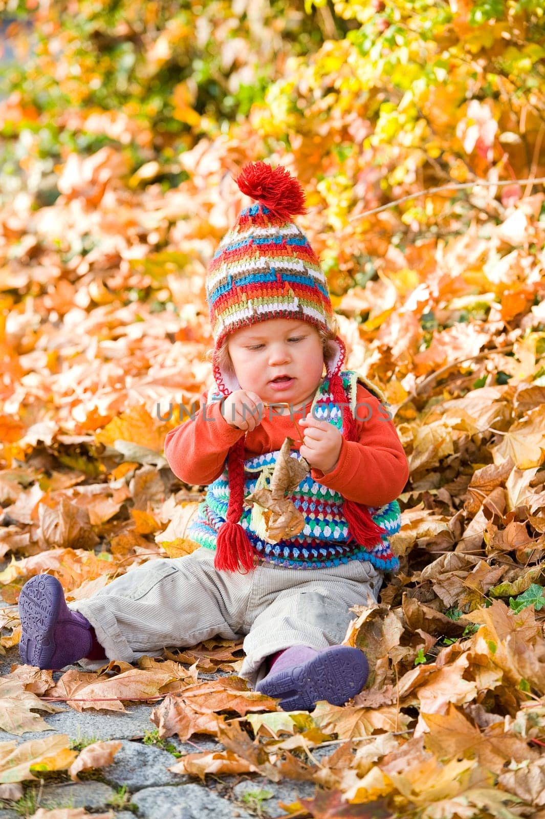 baby is sitting in autumn foliage