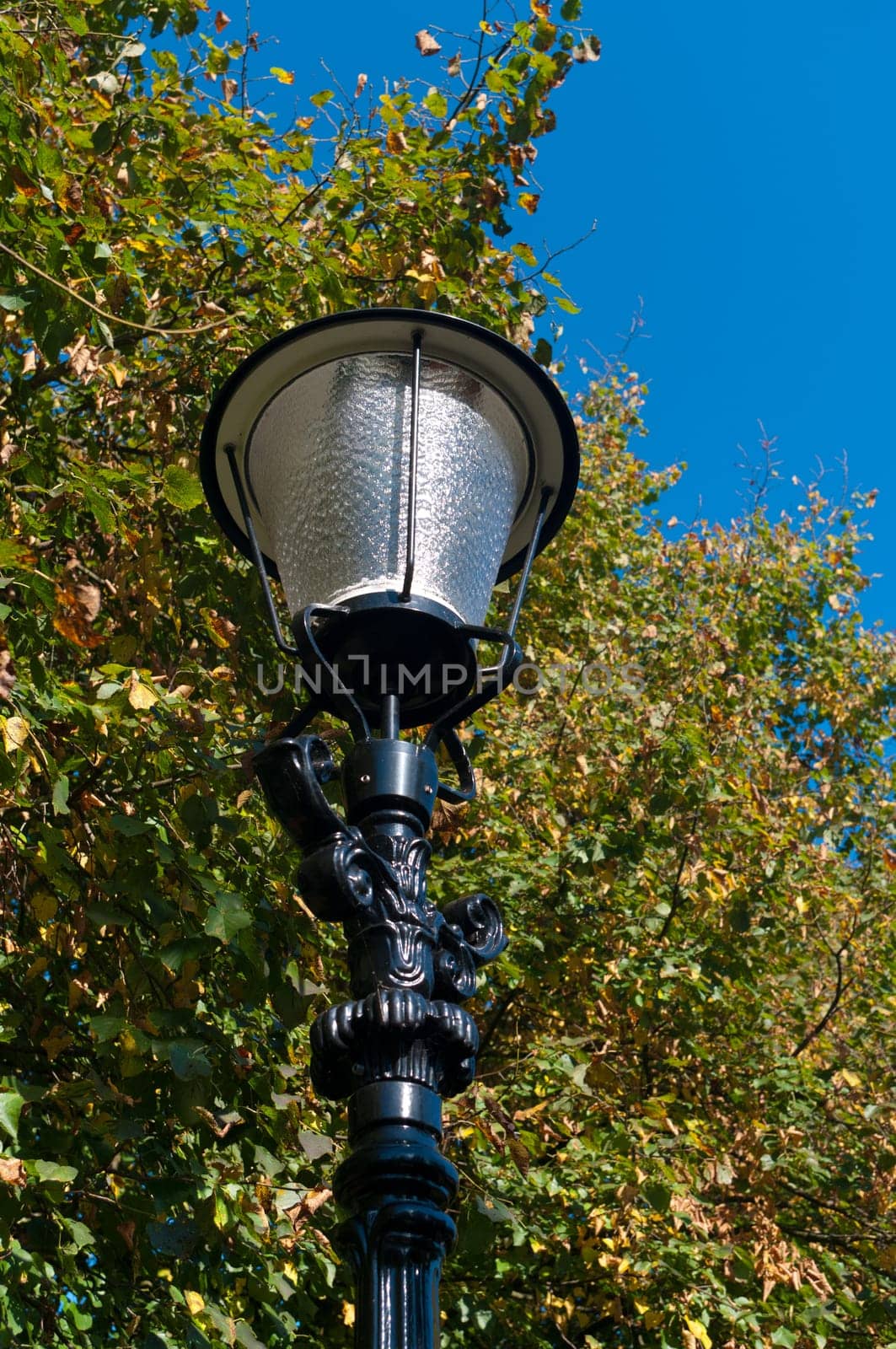 vintage street lamp against some bushes