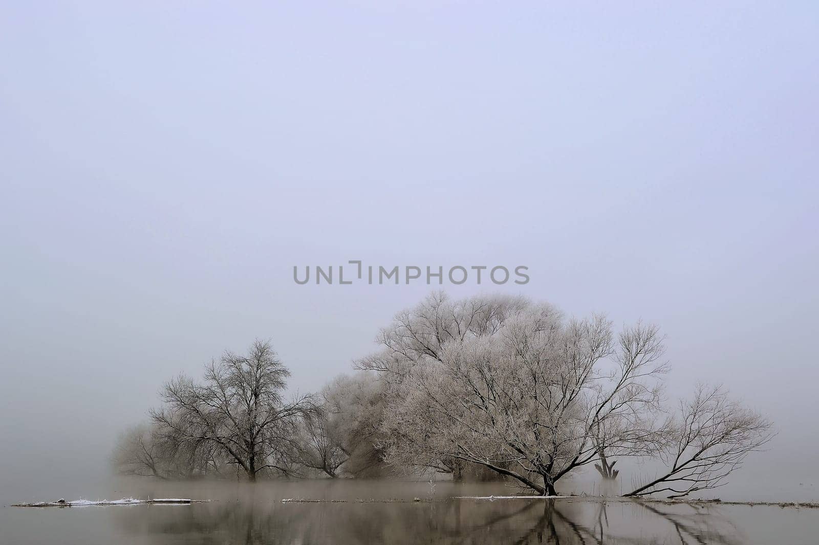 River landscape during floods
