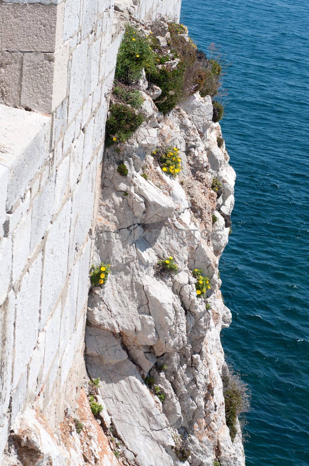 The cliff with green grass and blue sea