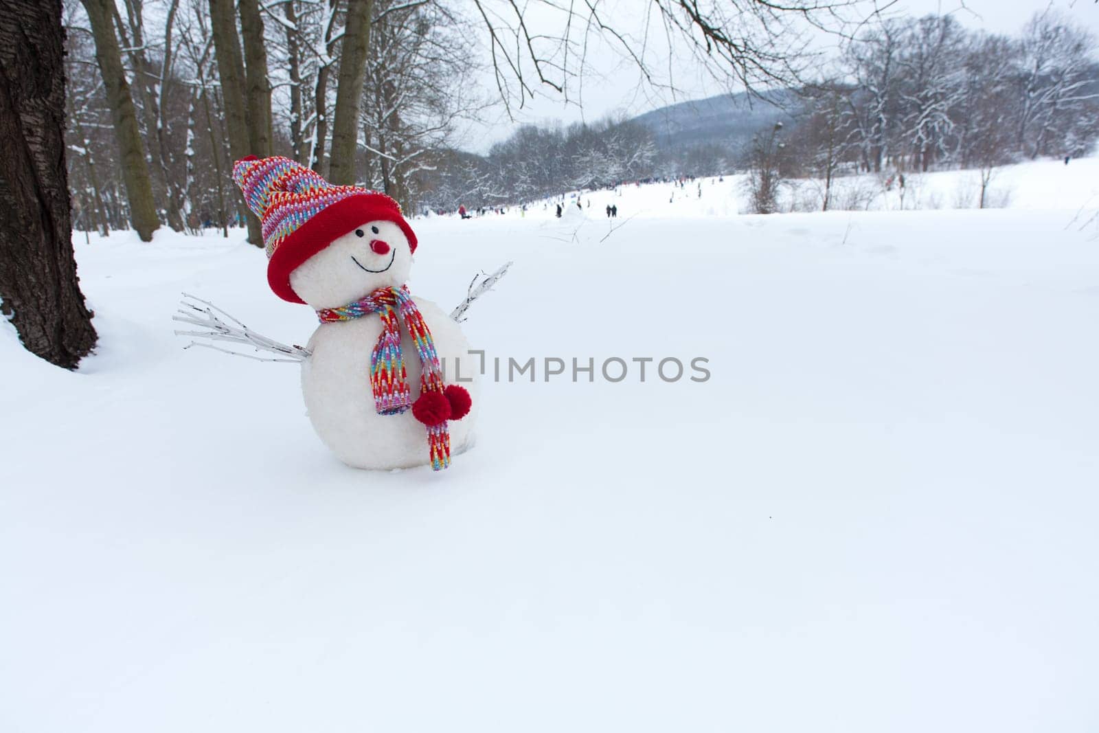 Snowman,with hood and scarf in wintry landscape