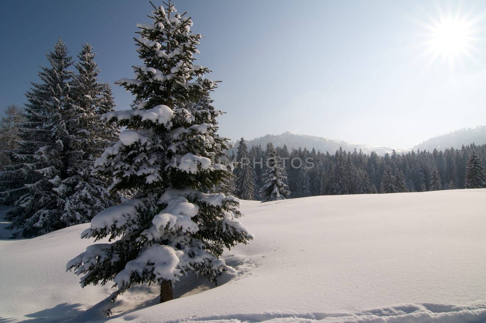 Winter in the Alps