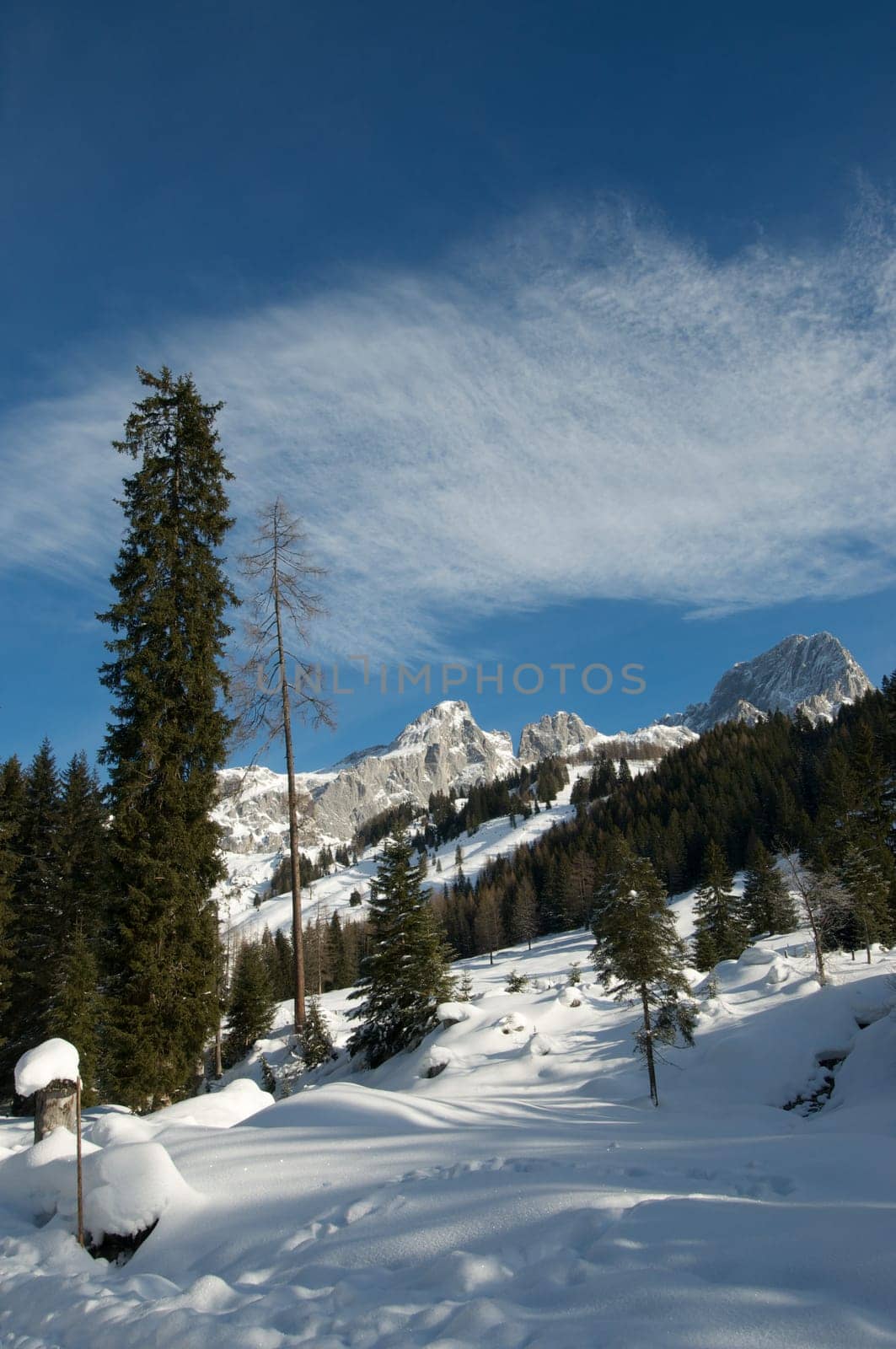 The Alps