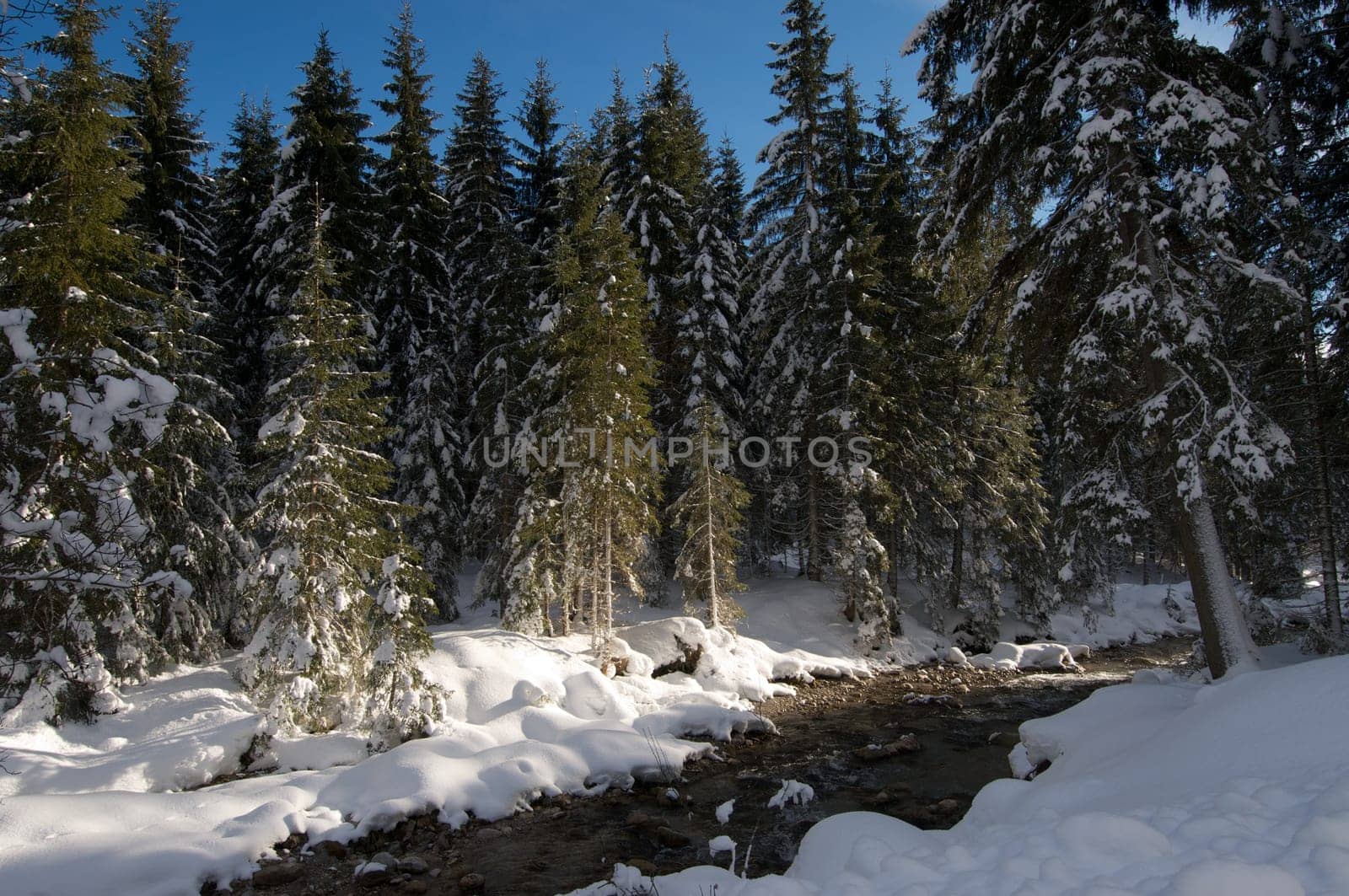 Beautiful winter day