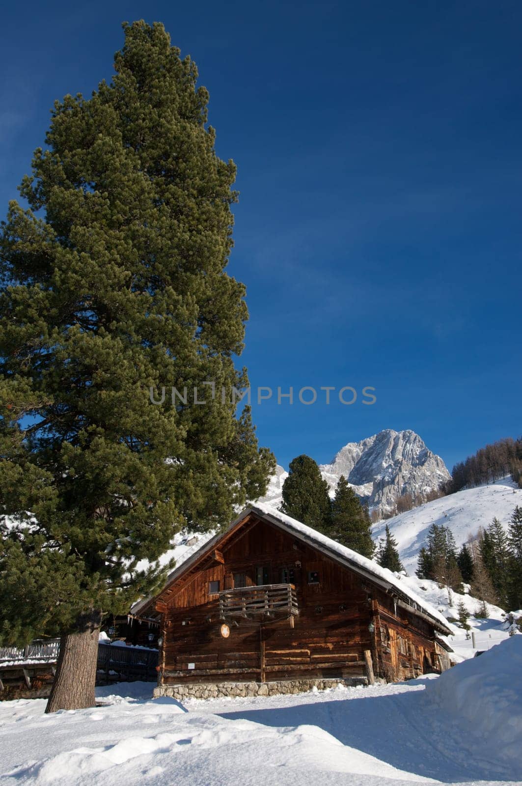 Mountain hut