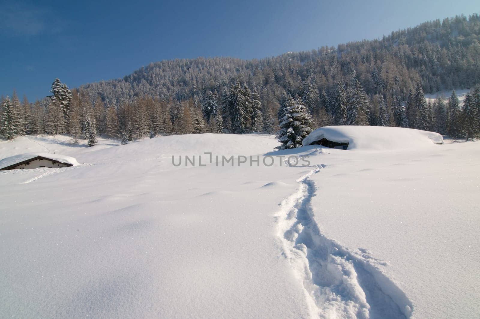 Buried under snow