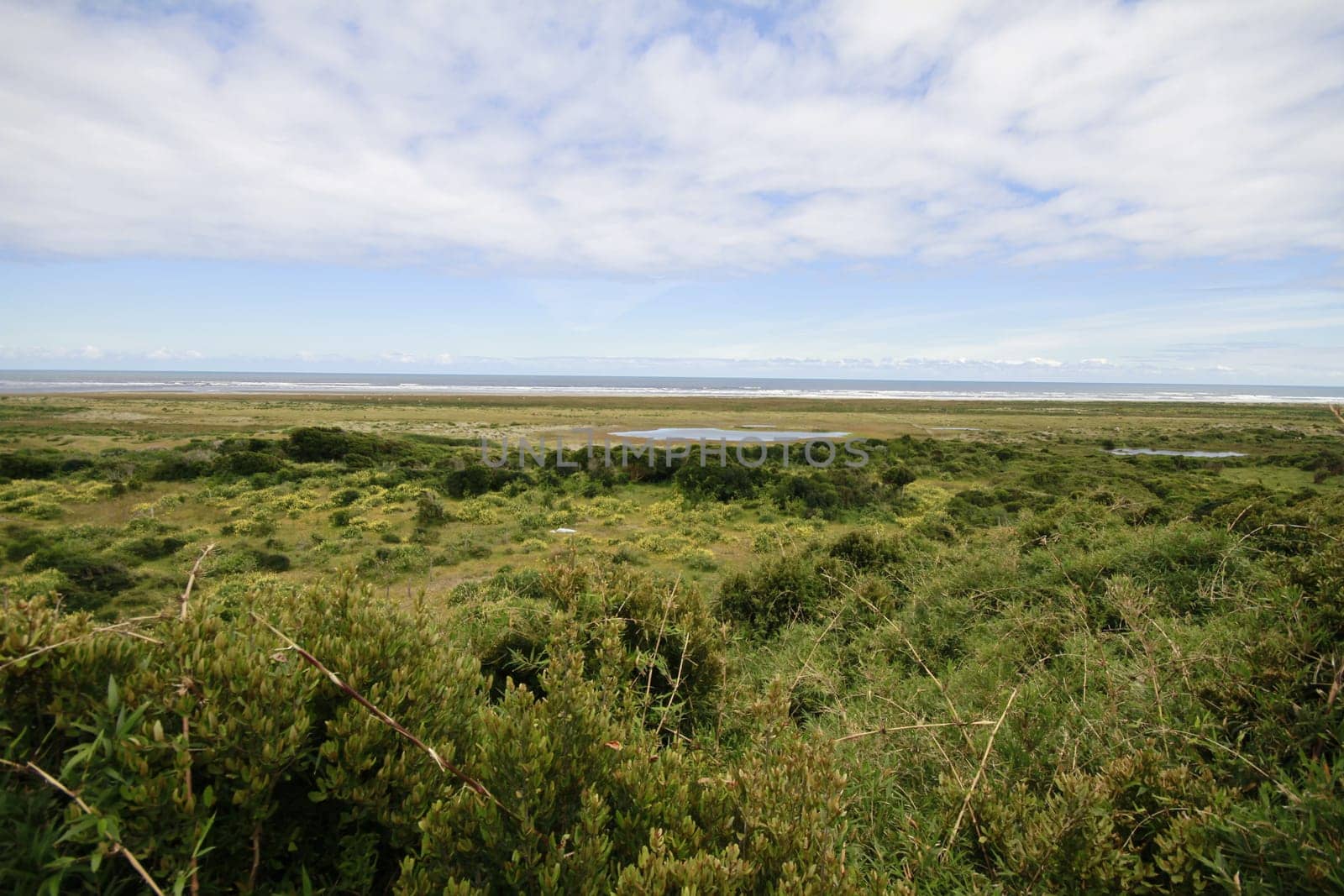 Parque nacional de chiloe