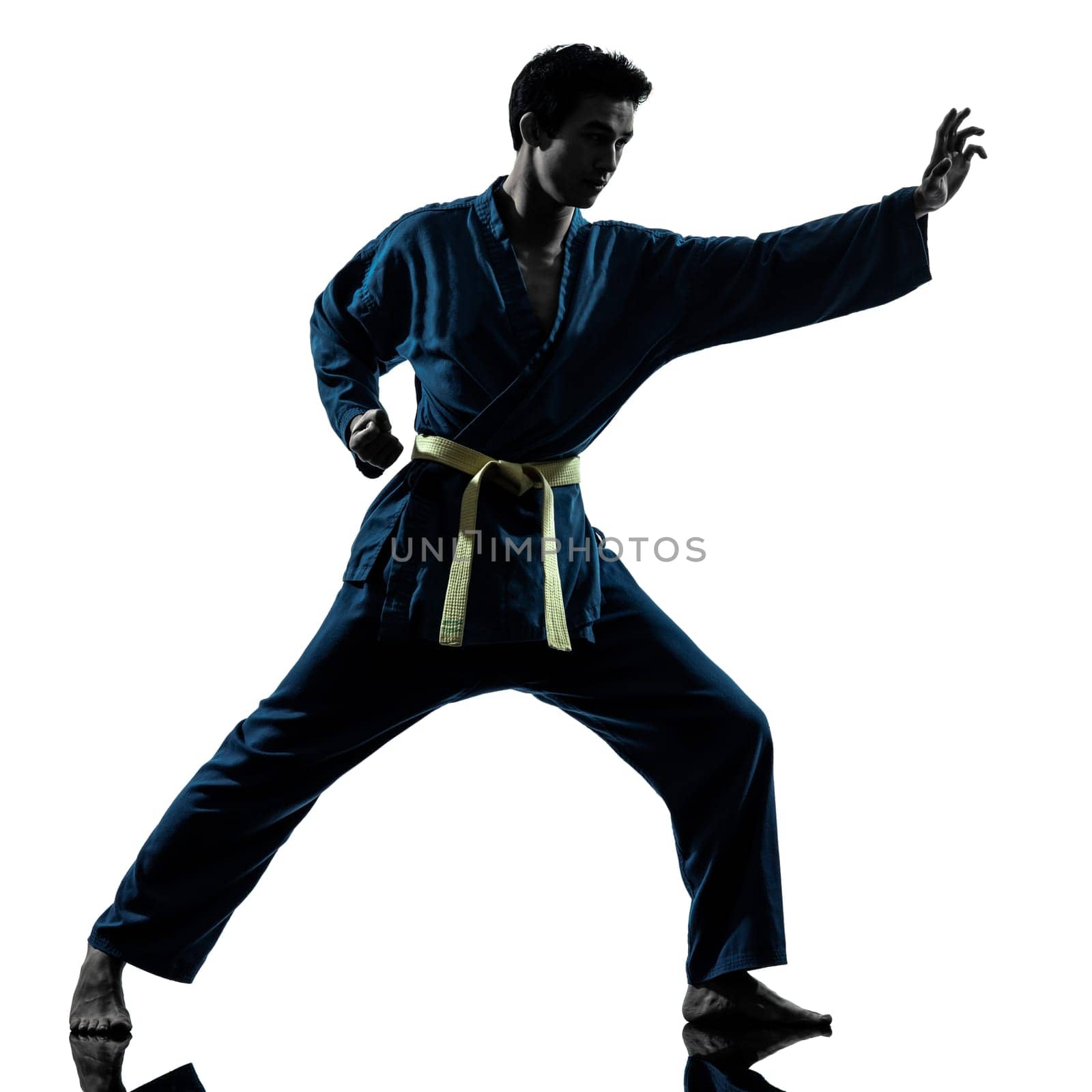 one asian young man exercising martial arts karate vietvodao in silhouette studio isolated on white background