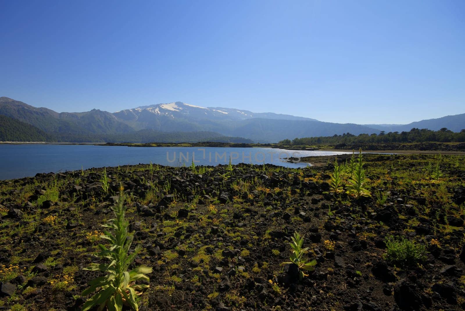 Parque Nacional Conguillo Chile