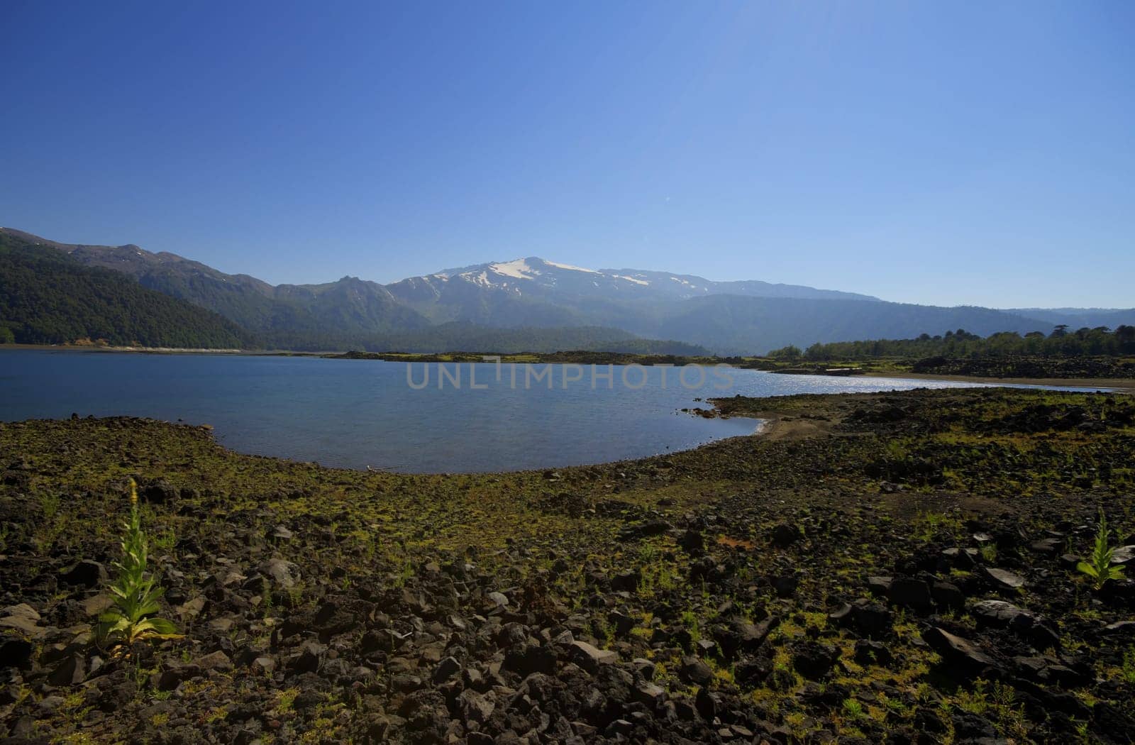 Parque Nacional Conguillo Chile