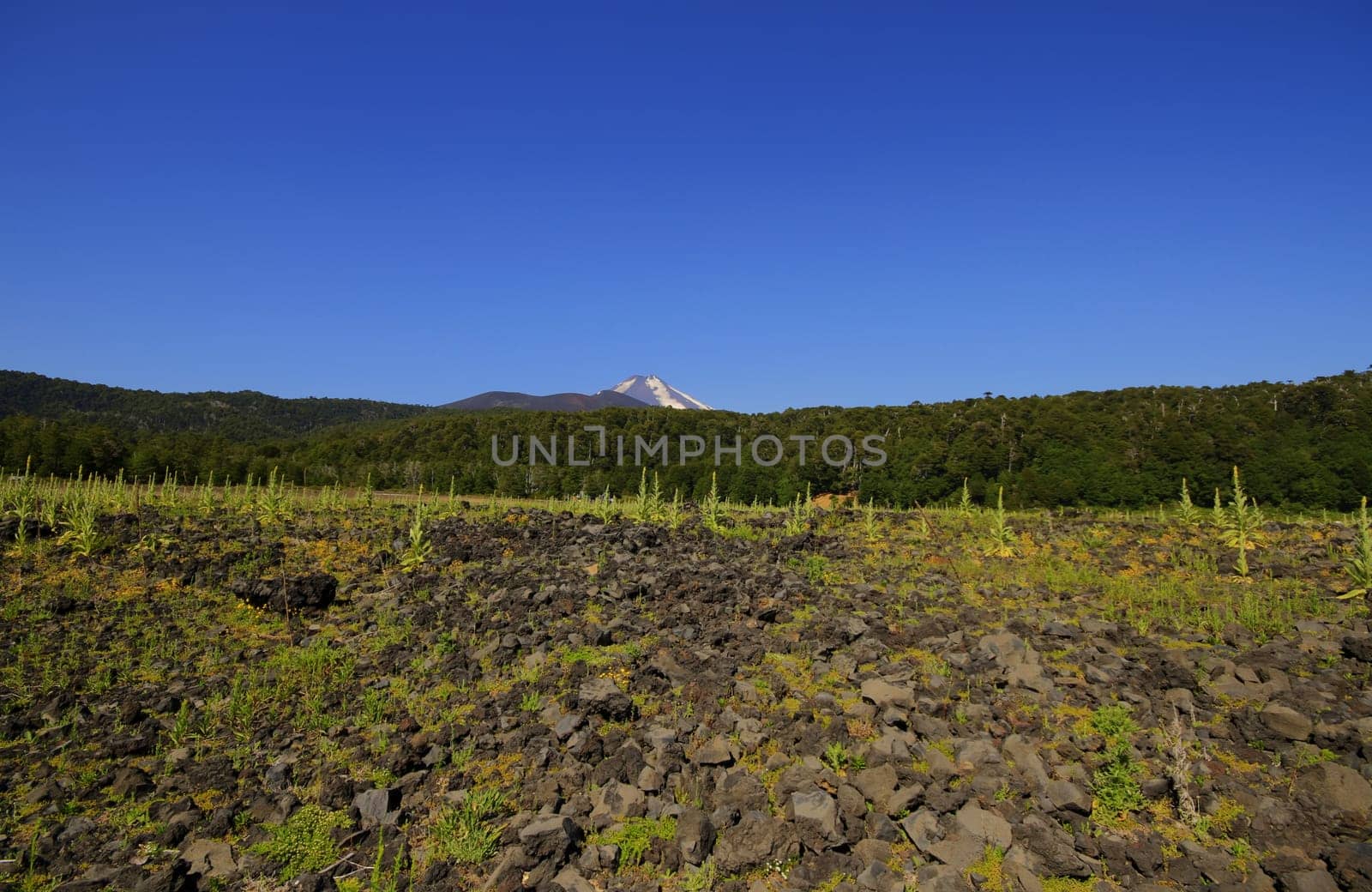 Parque Nacional Conguillo Chile