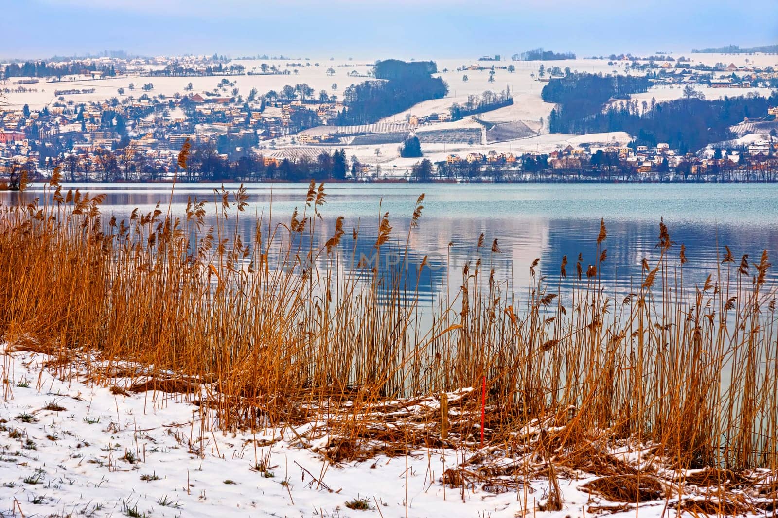 Winter at Lake Baldegg