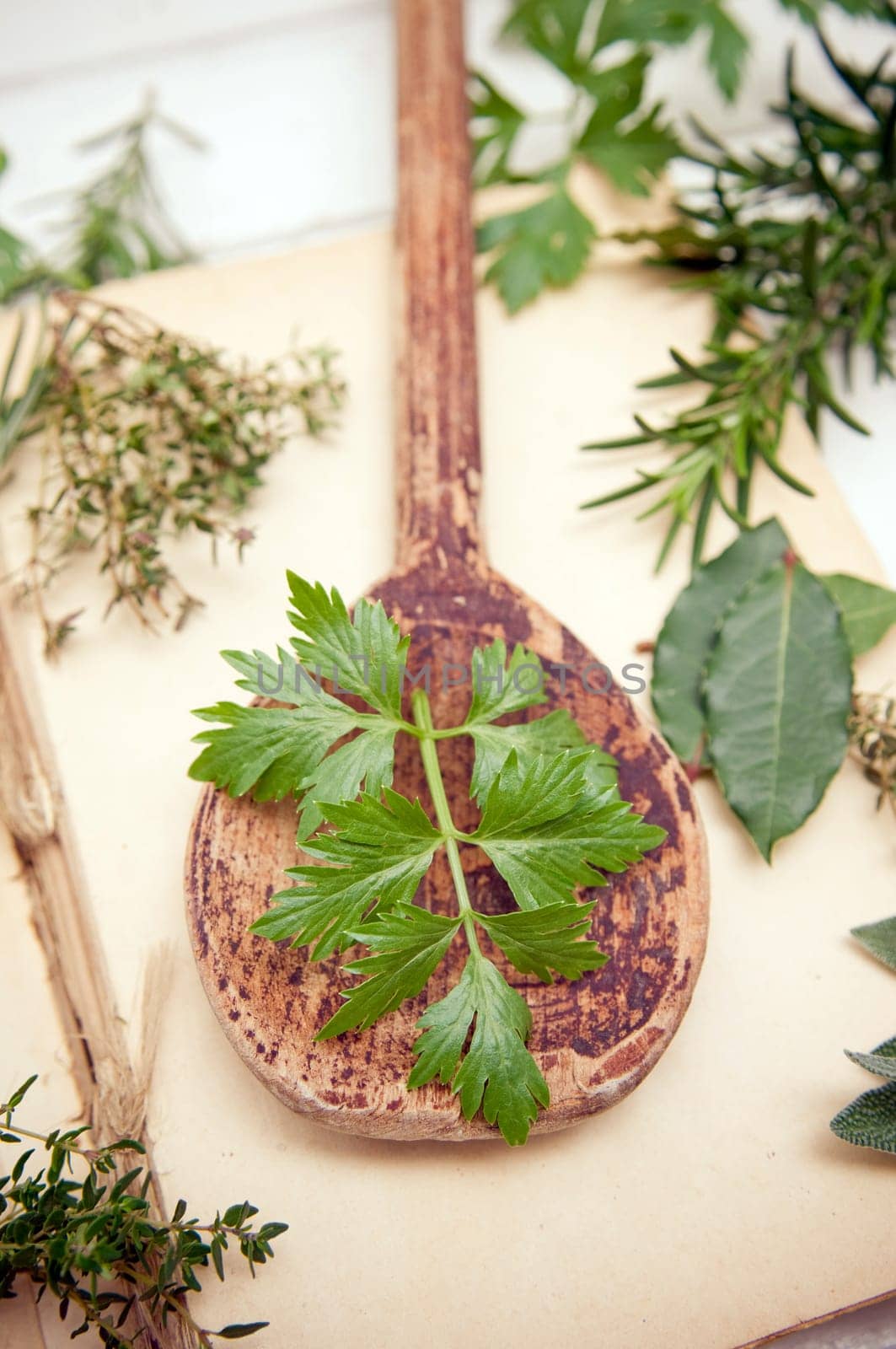 Fresh celery leaves on old wooden spoon