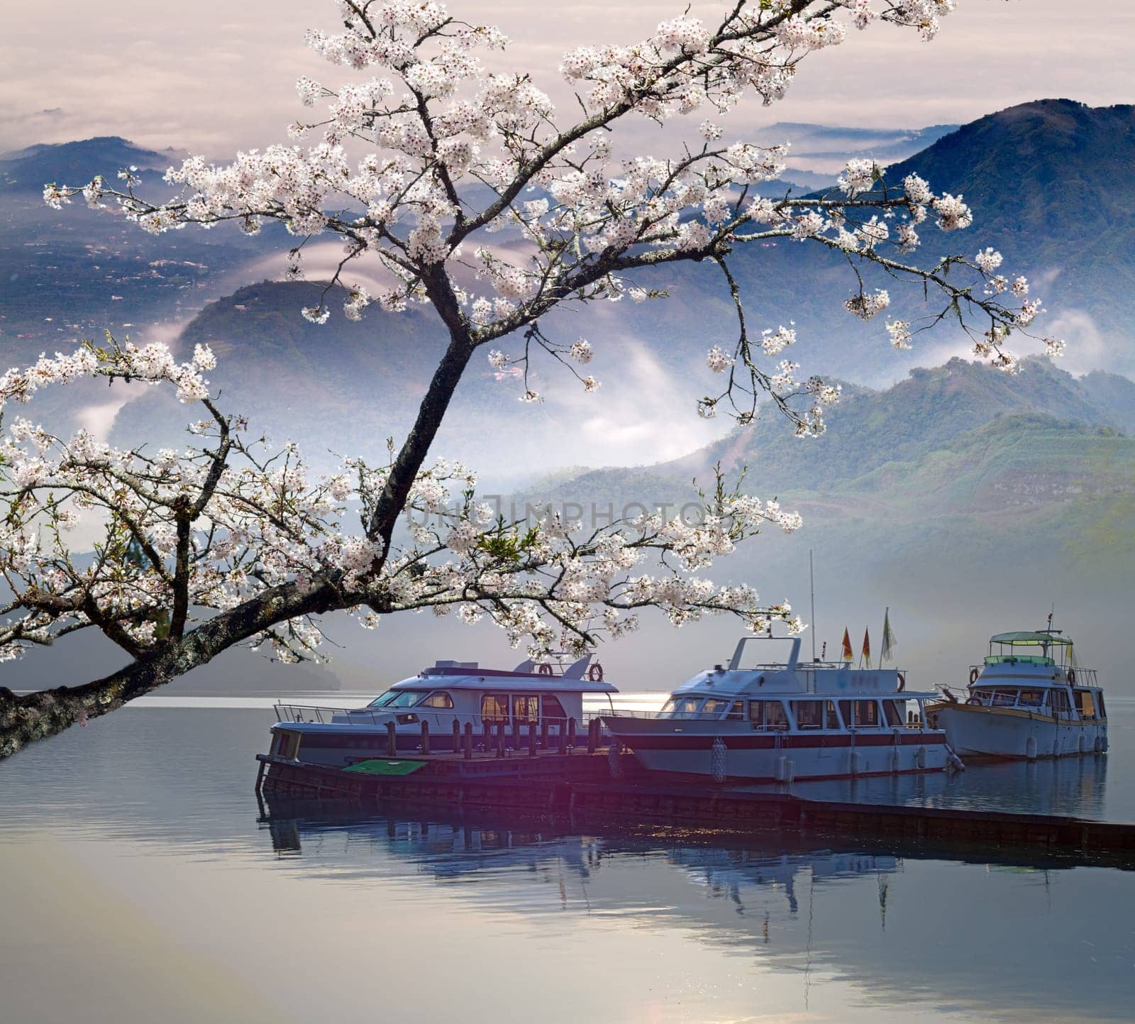 Landscape with boat mixed with nice sakura tree