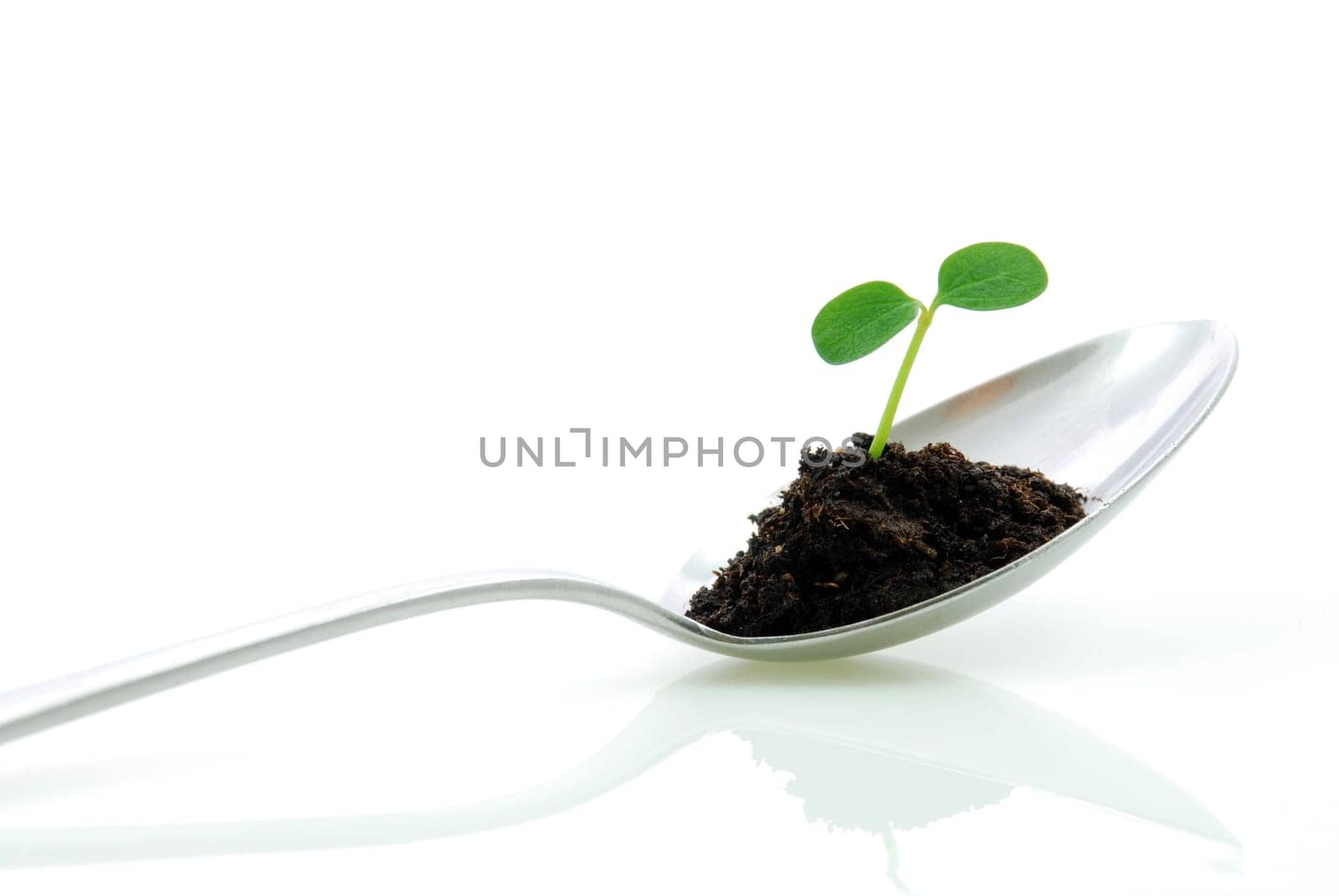a small plant on a spoon symbolizing growth