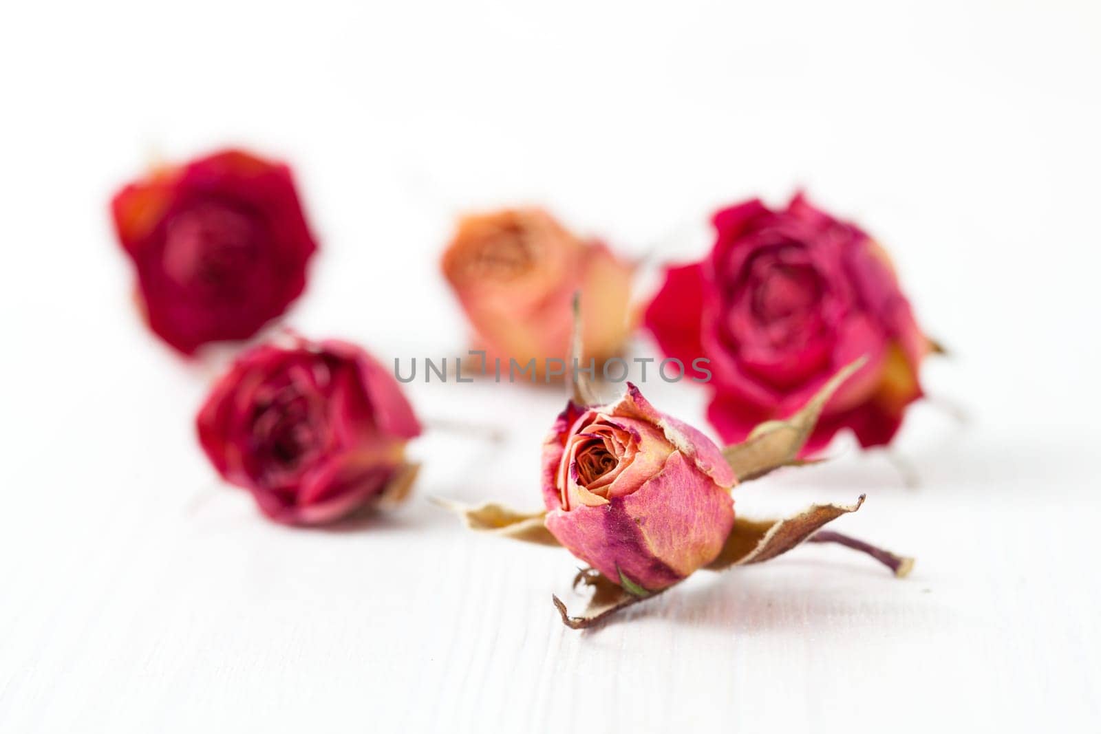 Dried red and orange roses on light background in studio