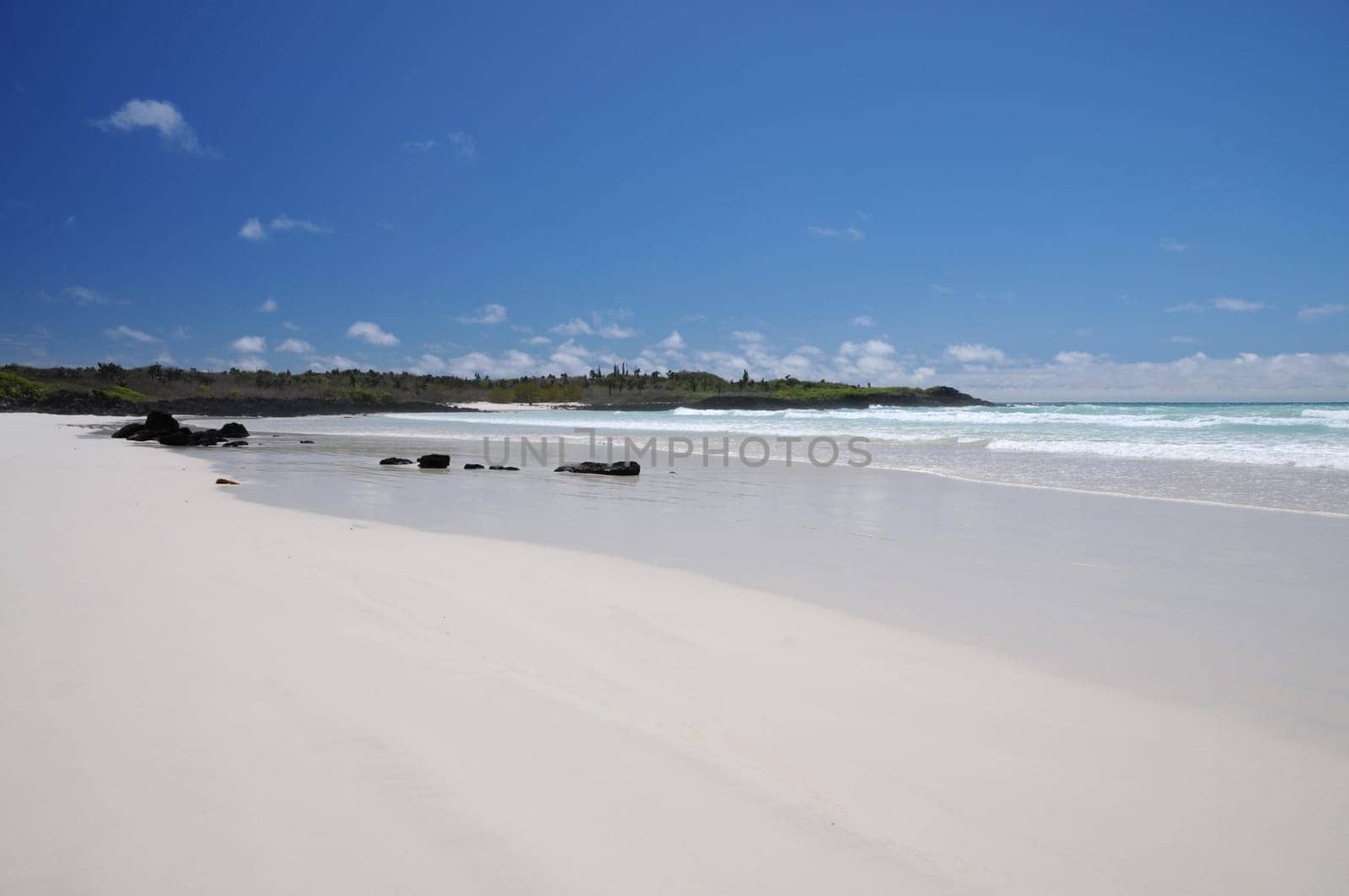 I photographed this beautiful beach on Galapagos,on the island of Santa Cruz. Since most beaches are made of lava rock,this beach is something special!